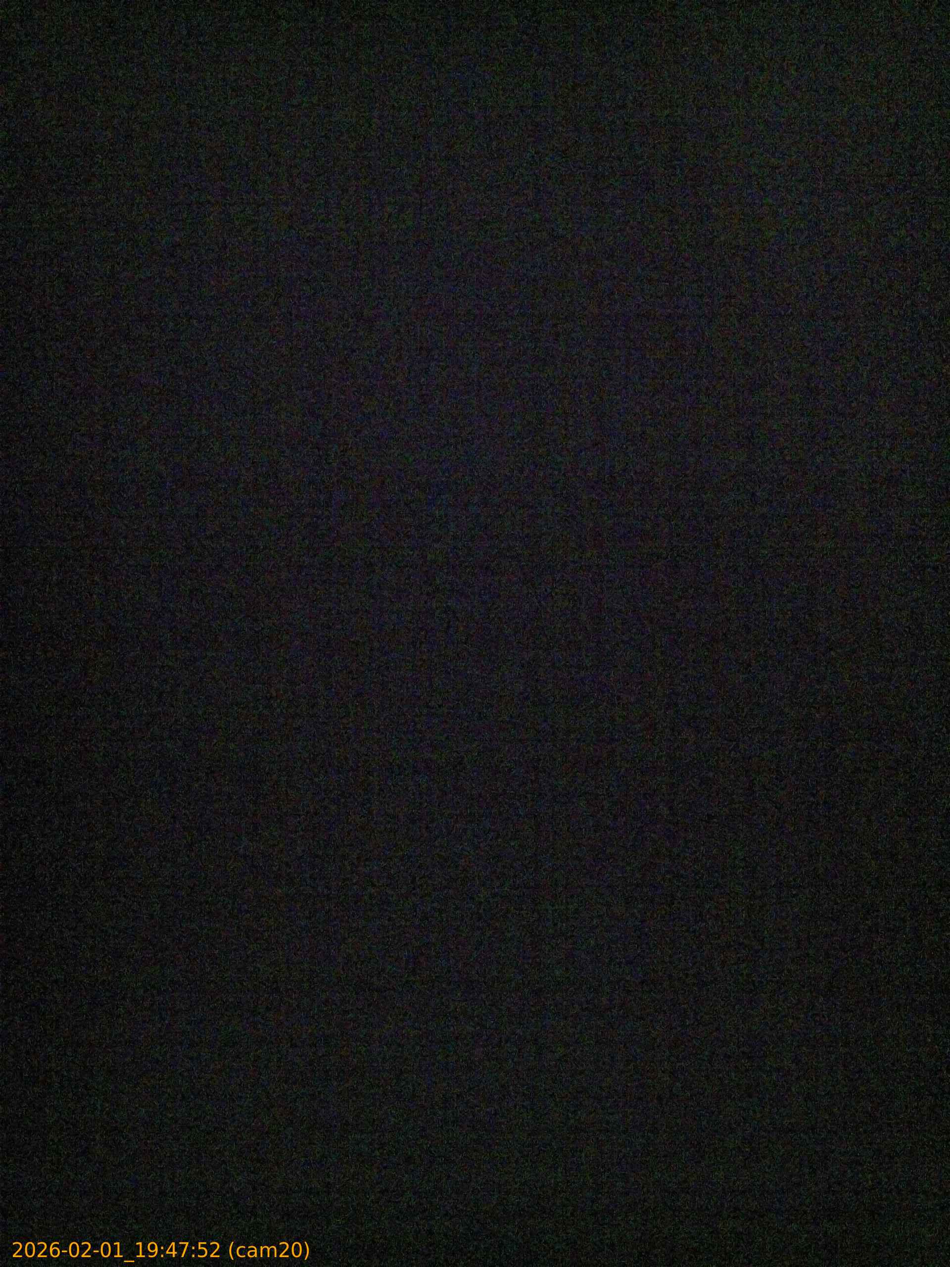 thumbnail_20260201194752