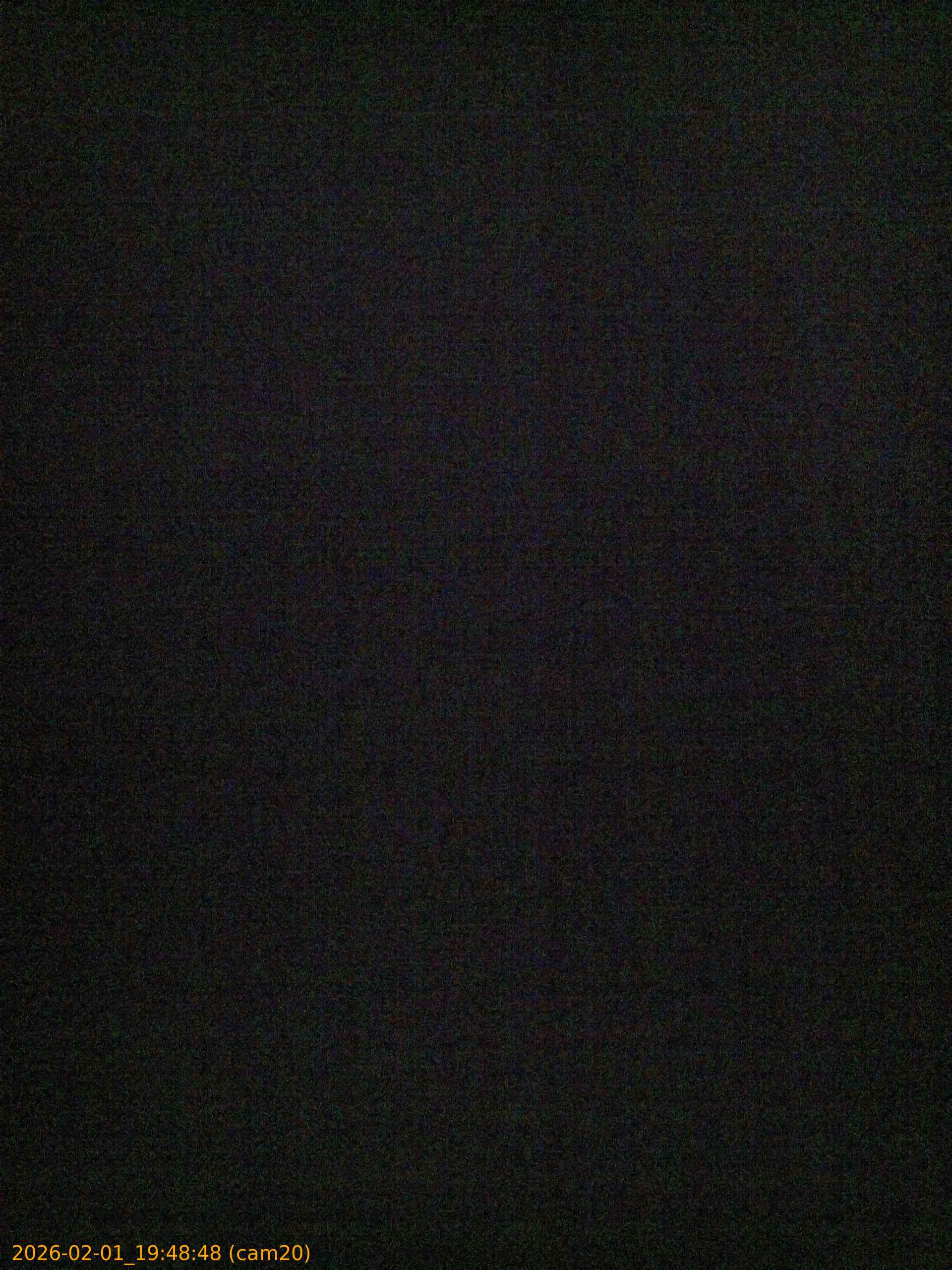 20260201194848