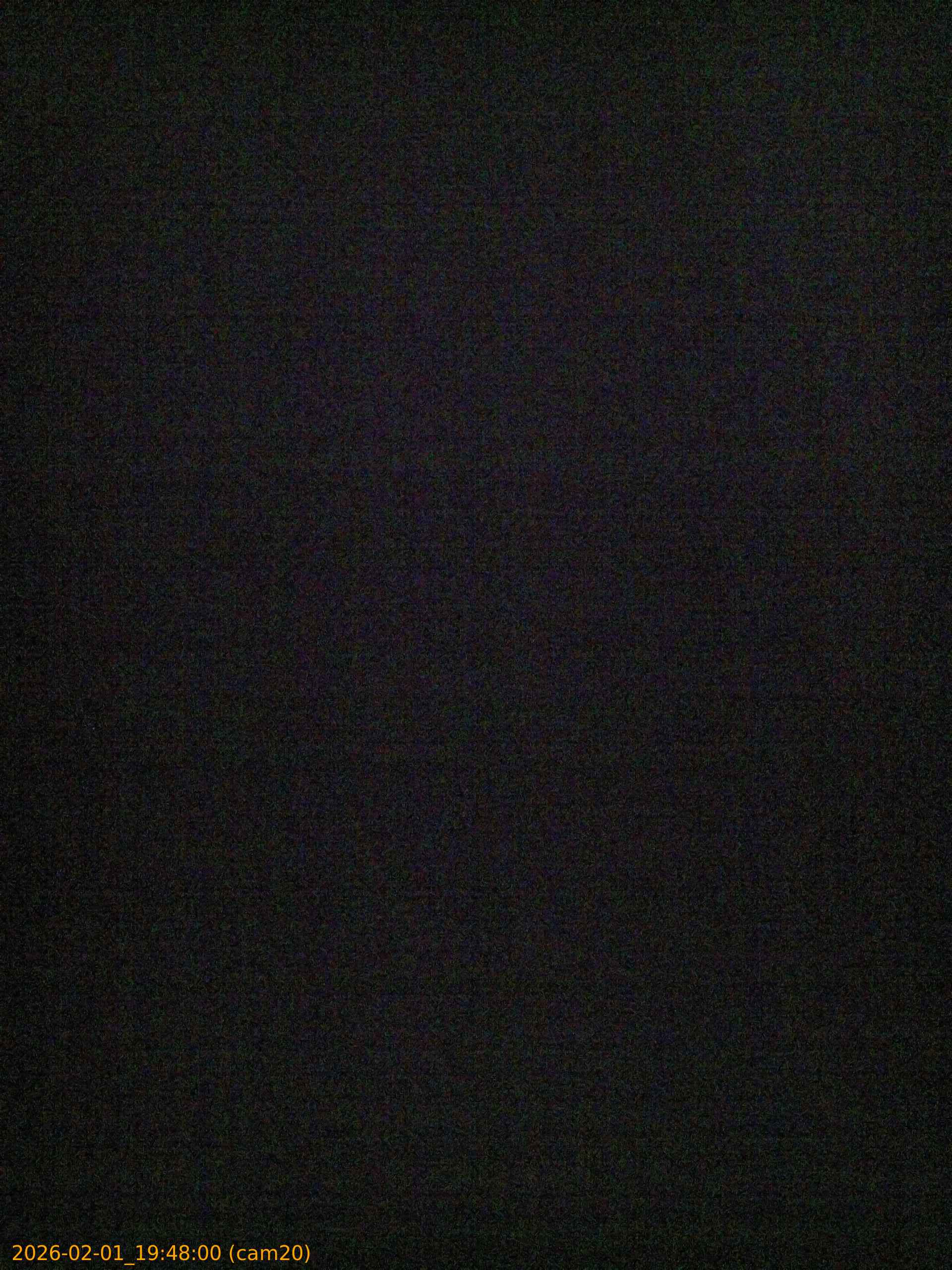 thumbnail_20260201194800