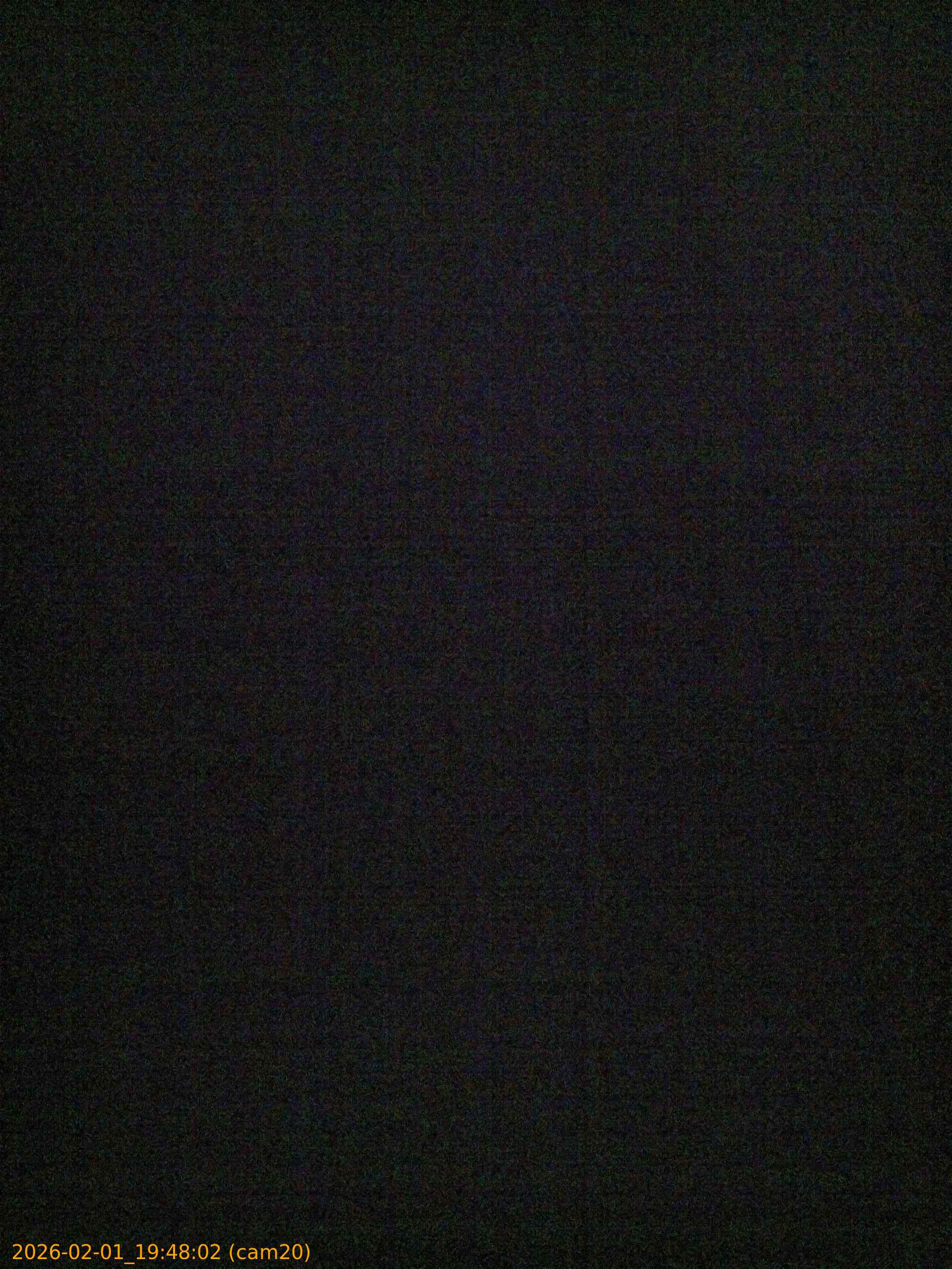 thumbnail_20260201194802