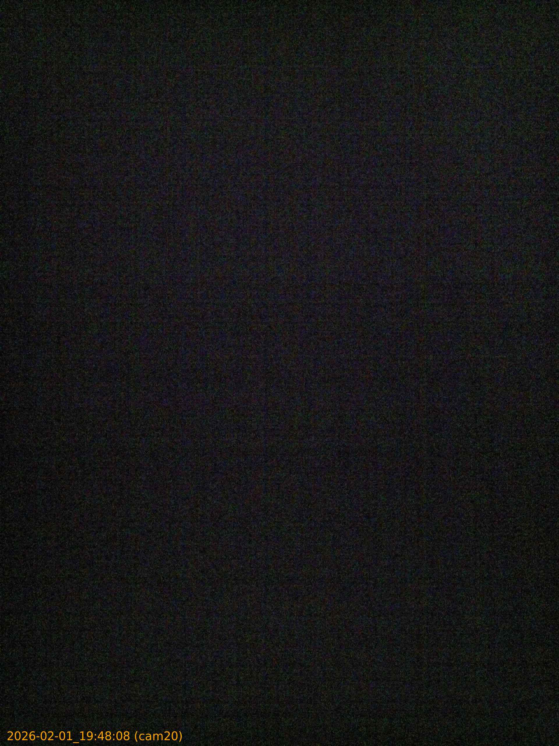 thumbnail_20260201194808