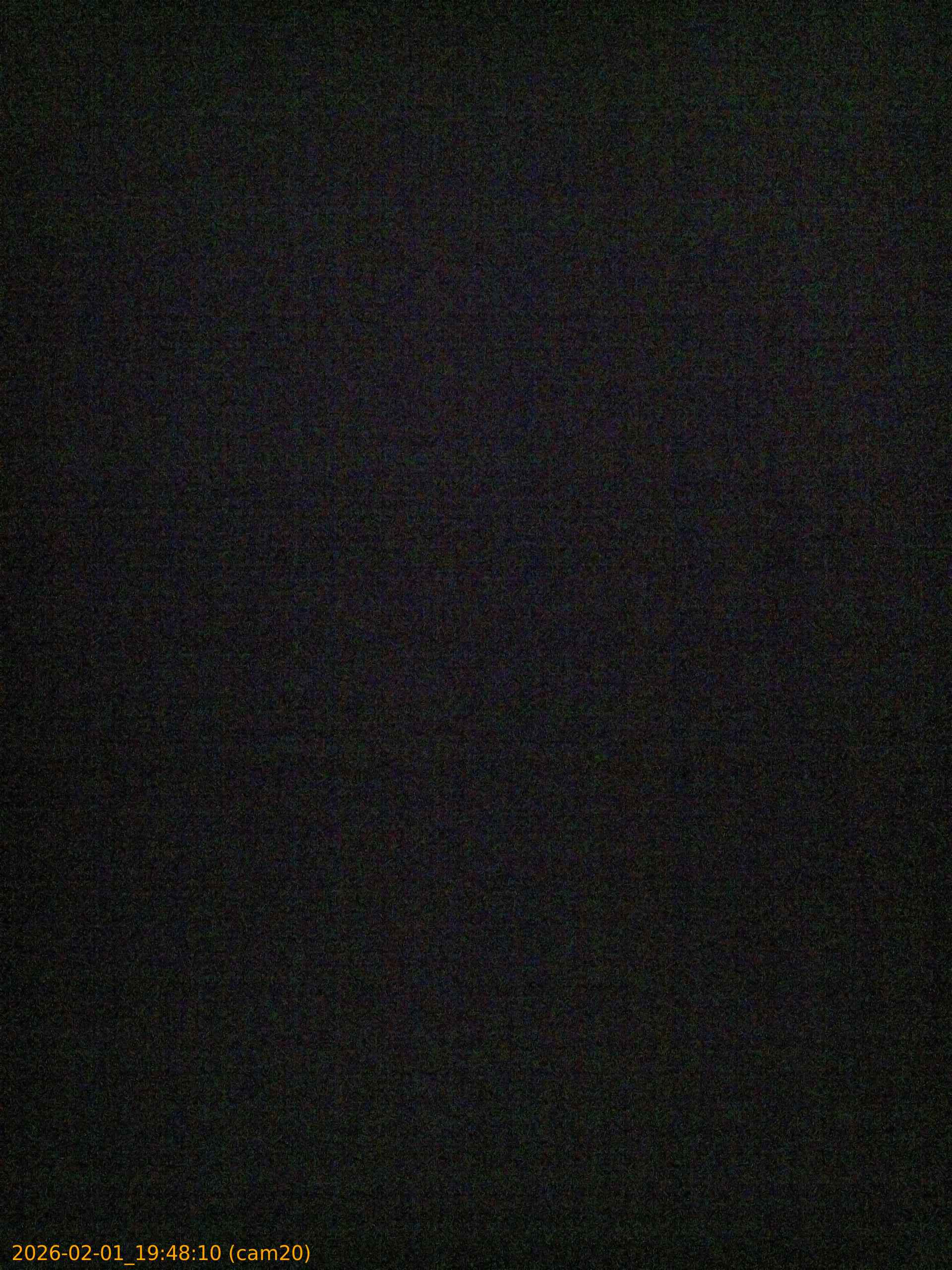 thumbnail_20260201194810