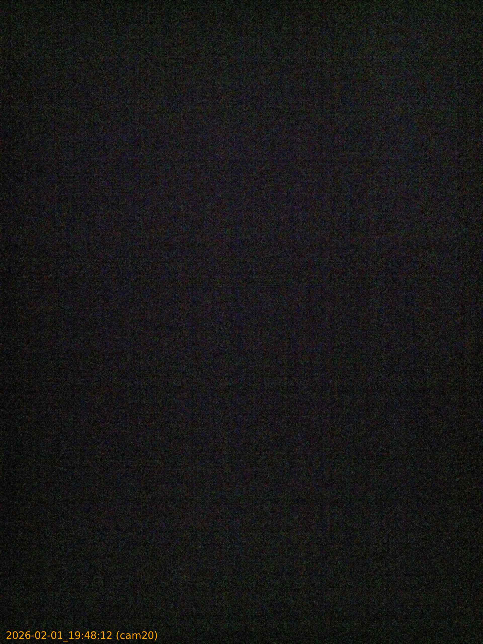 thumbnail_20260201194812