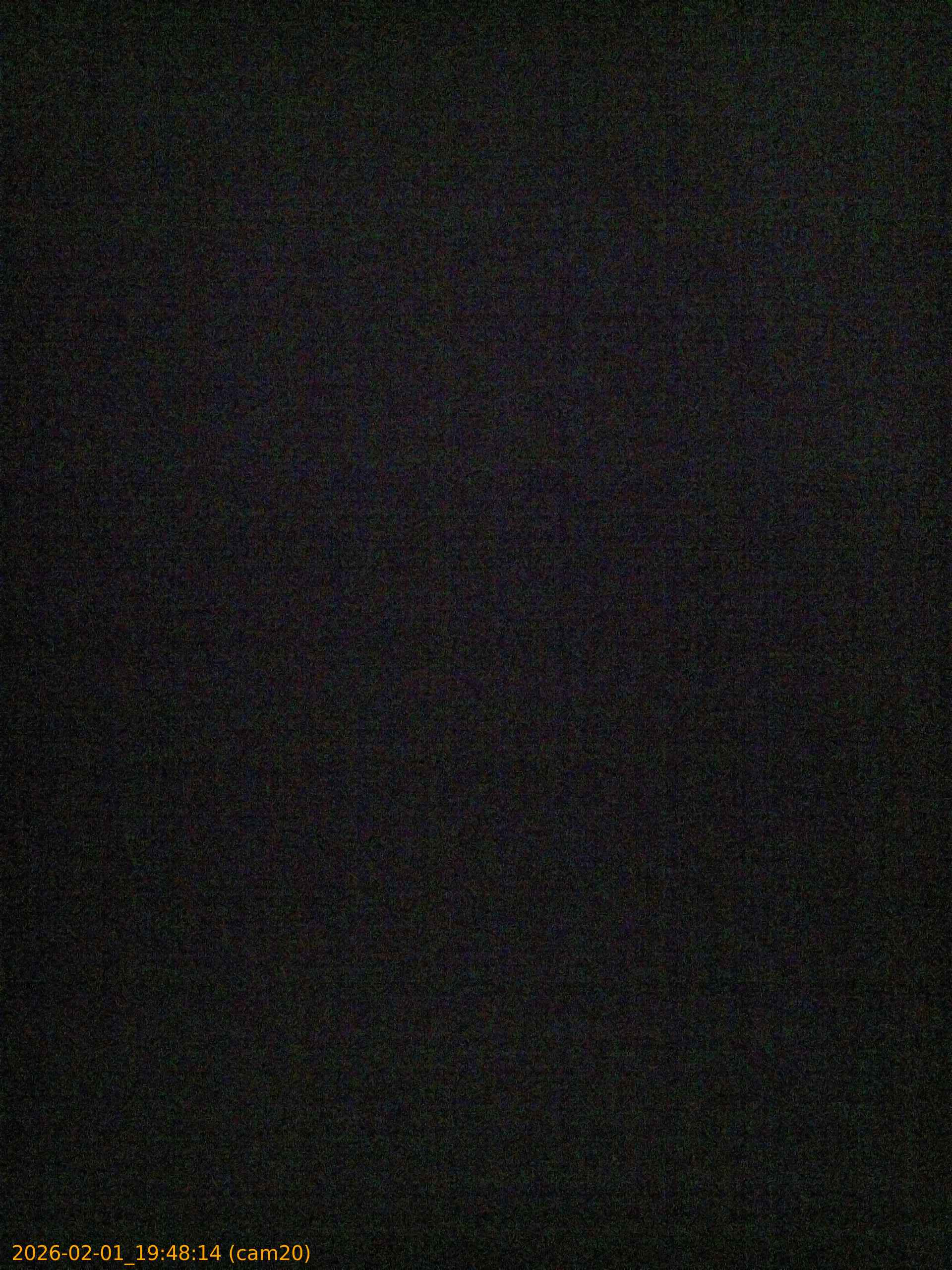 thumbnail_20260201194814