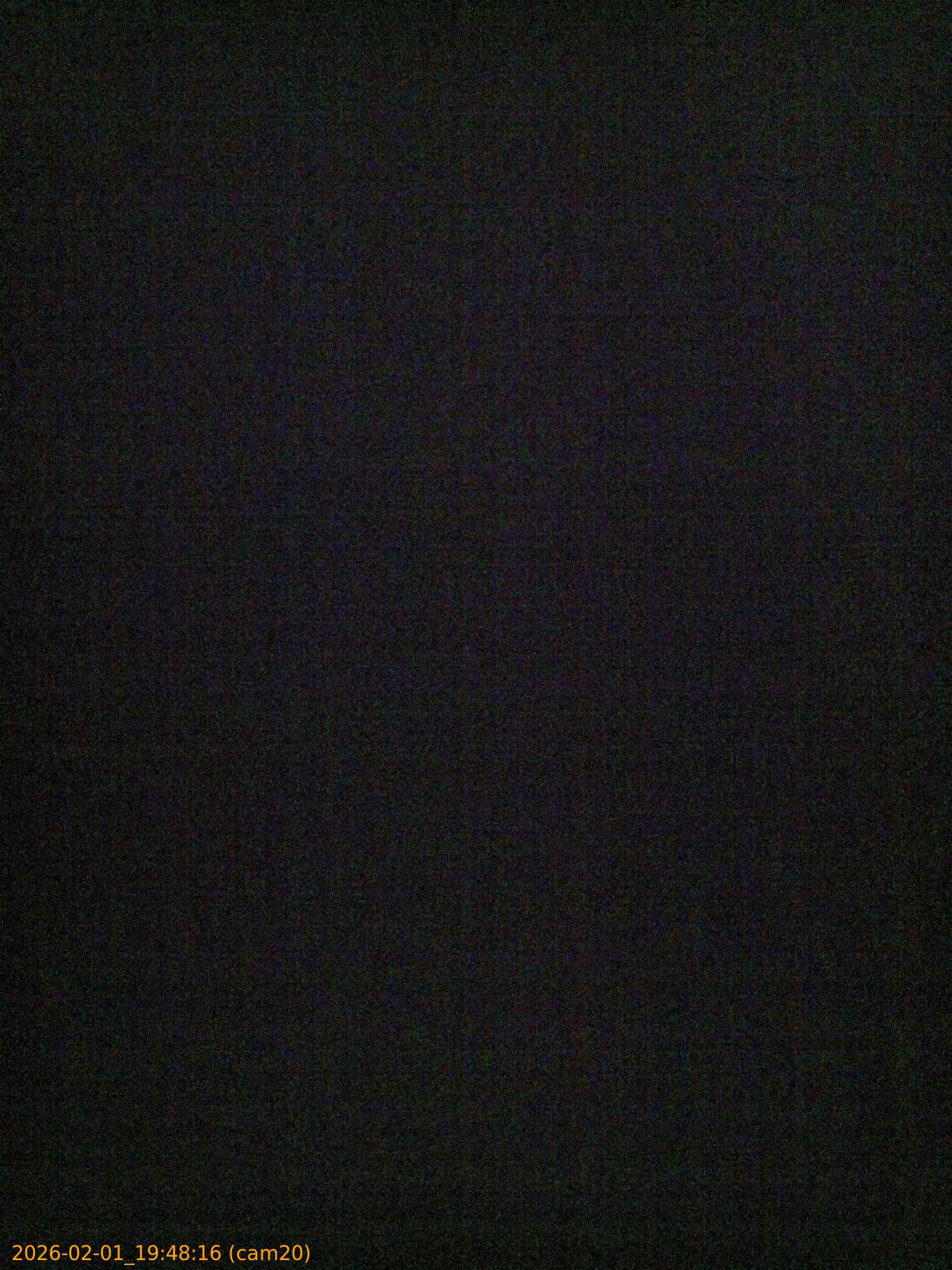 thumbnail_20260201194816