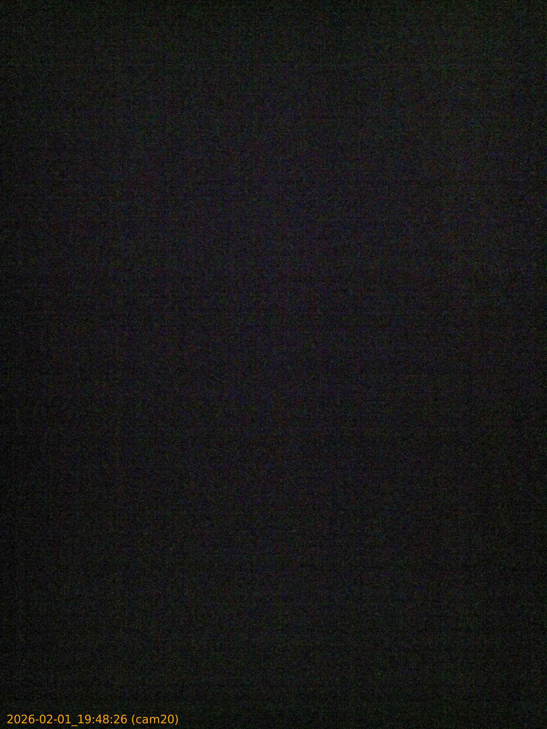 thumbnail_20260201194826