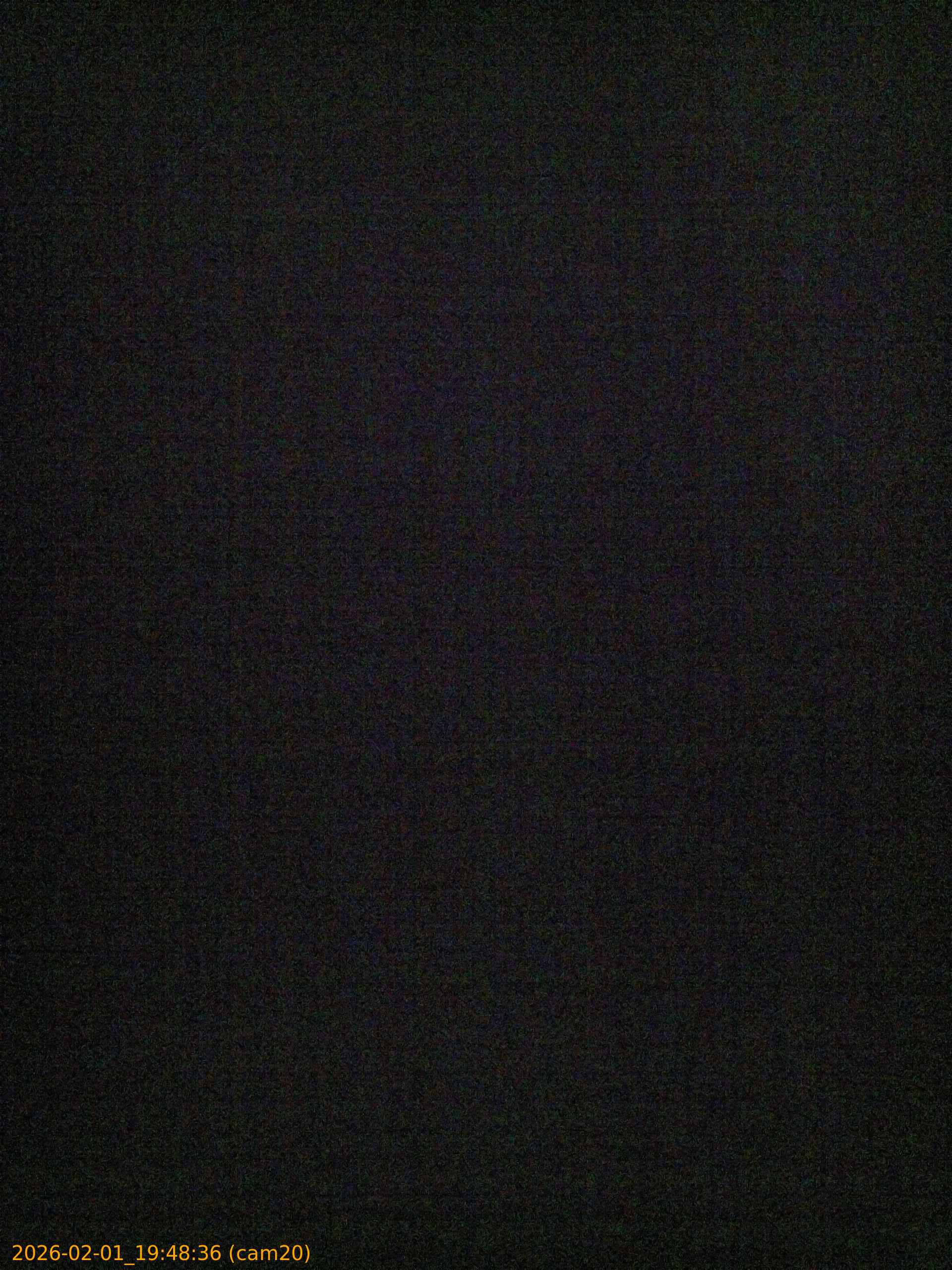 thumbnail_20260201194836