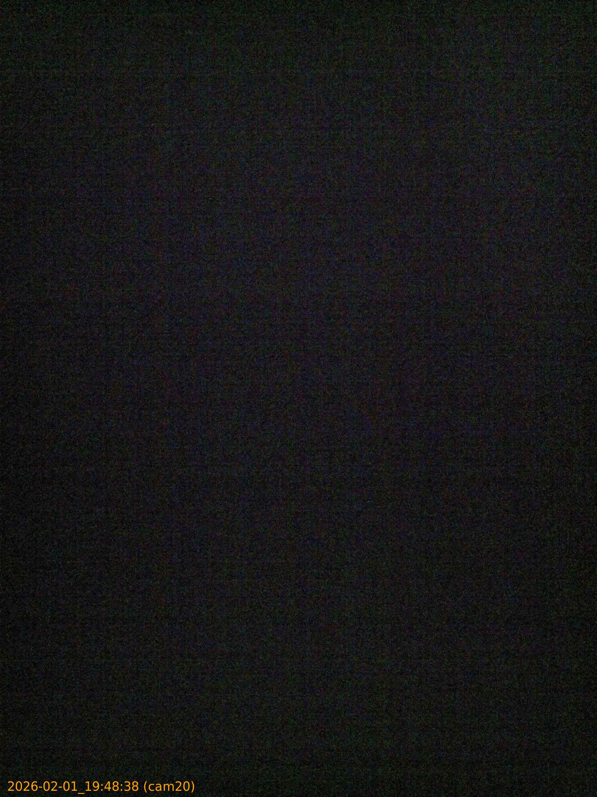 thumbnail_20260201194838