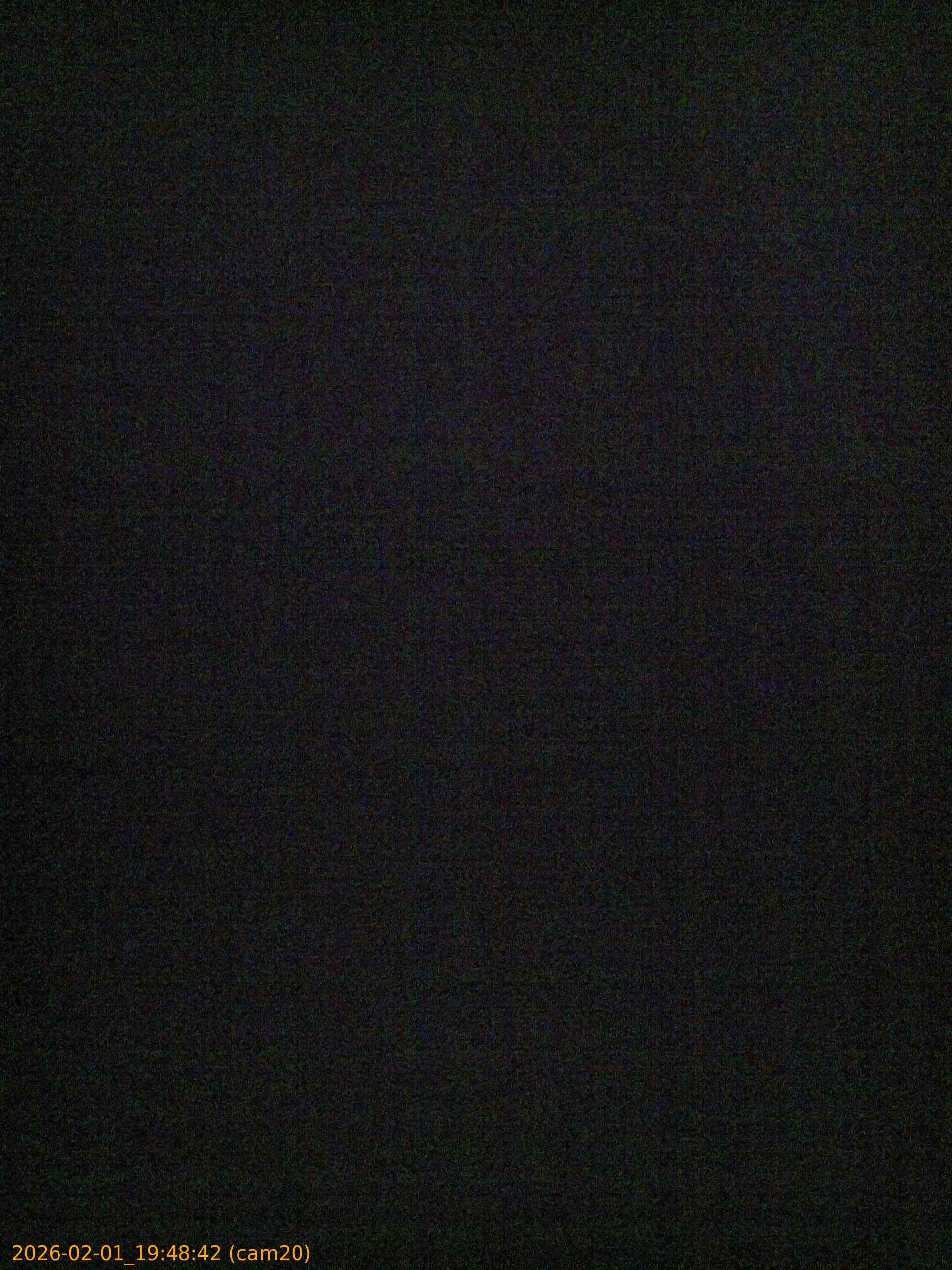 thumbnail_20260201194842