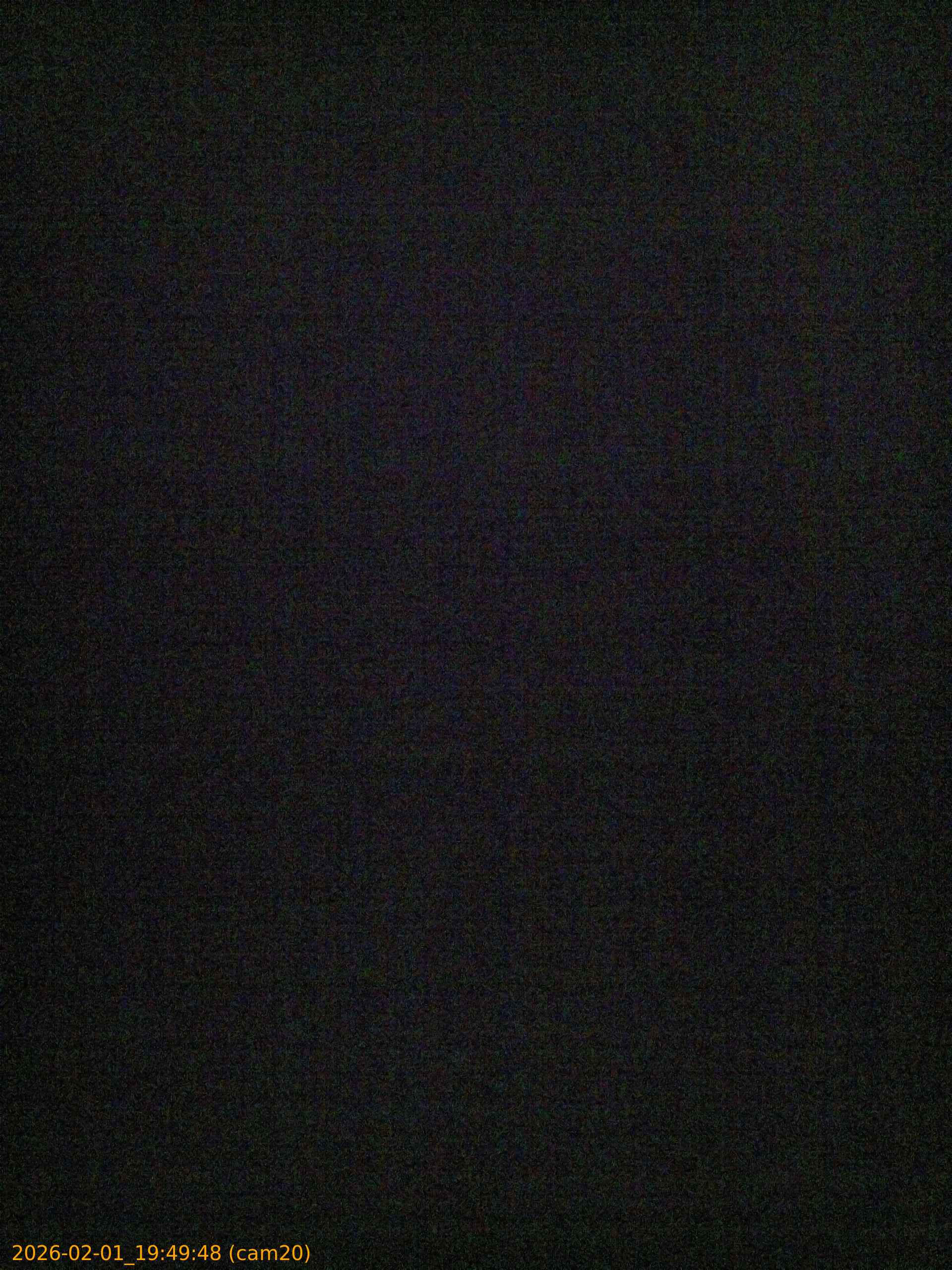 20260201194948