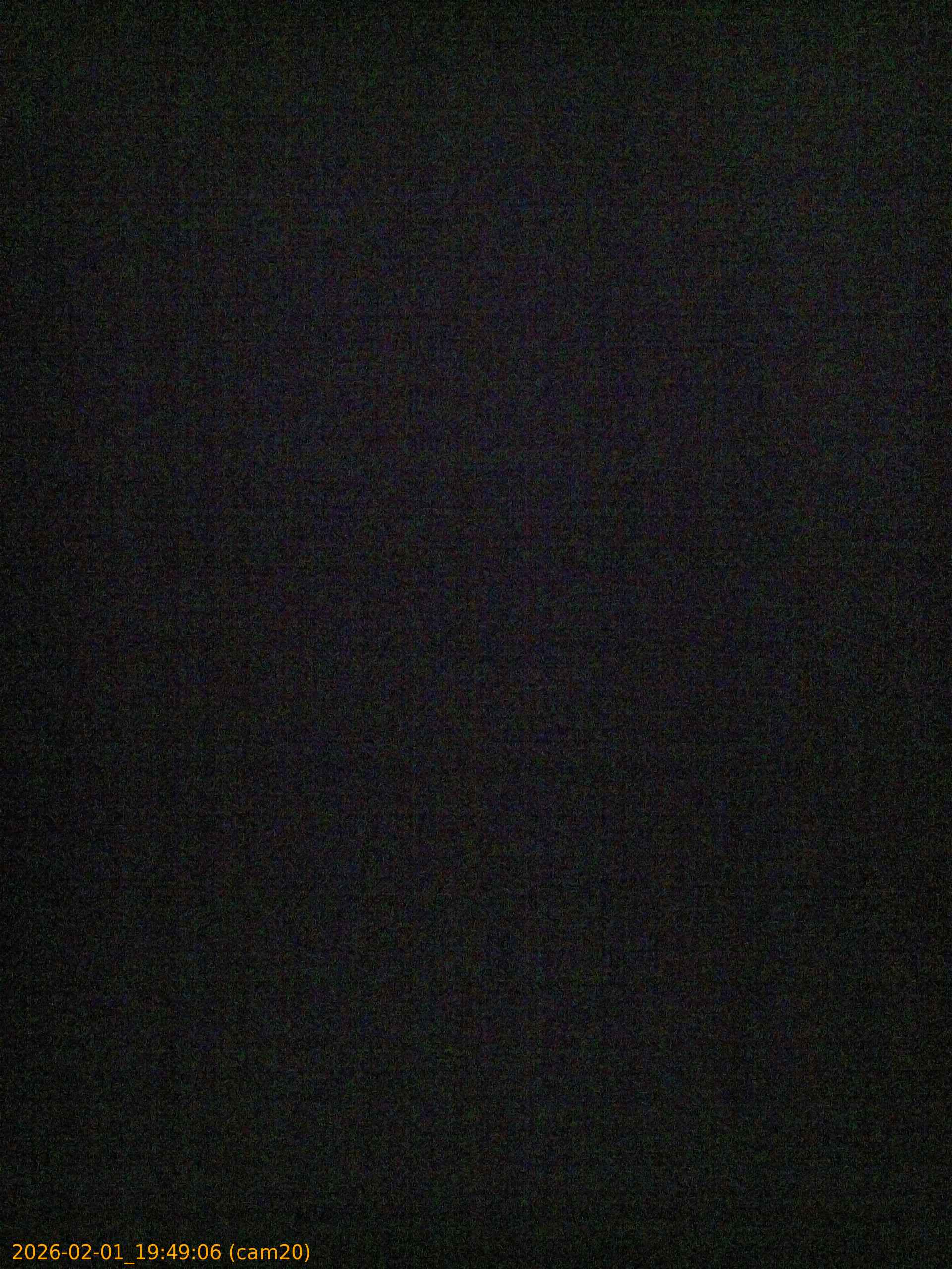 thumbnail_20260201194906