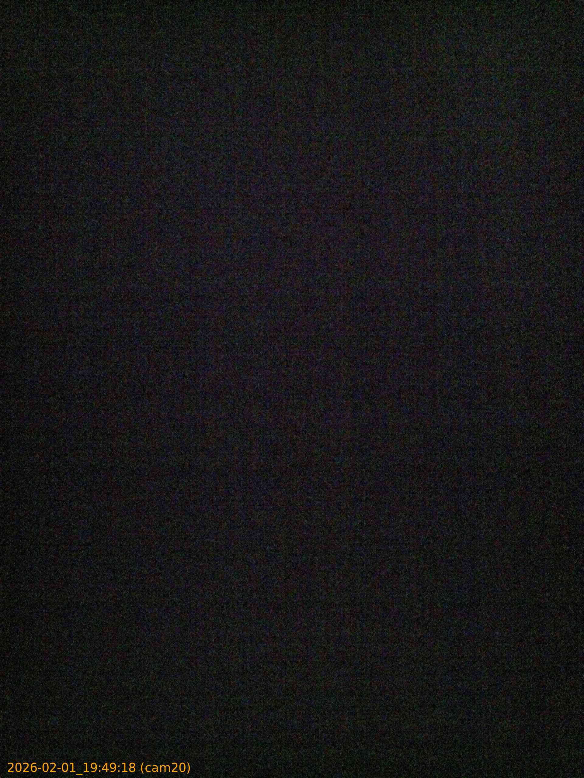 thumbnail_20260201194918