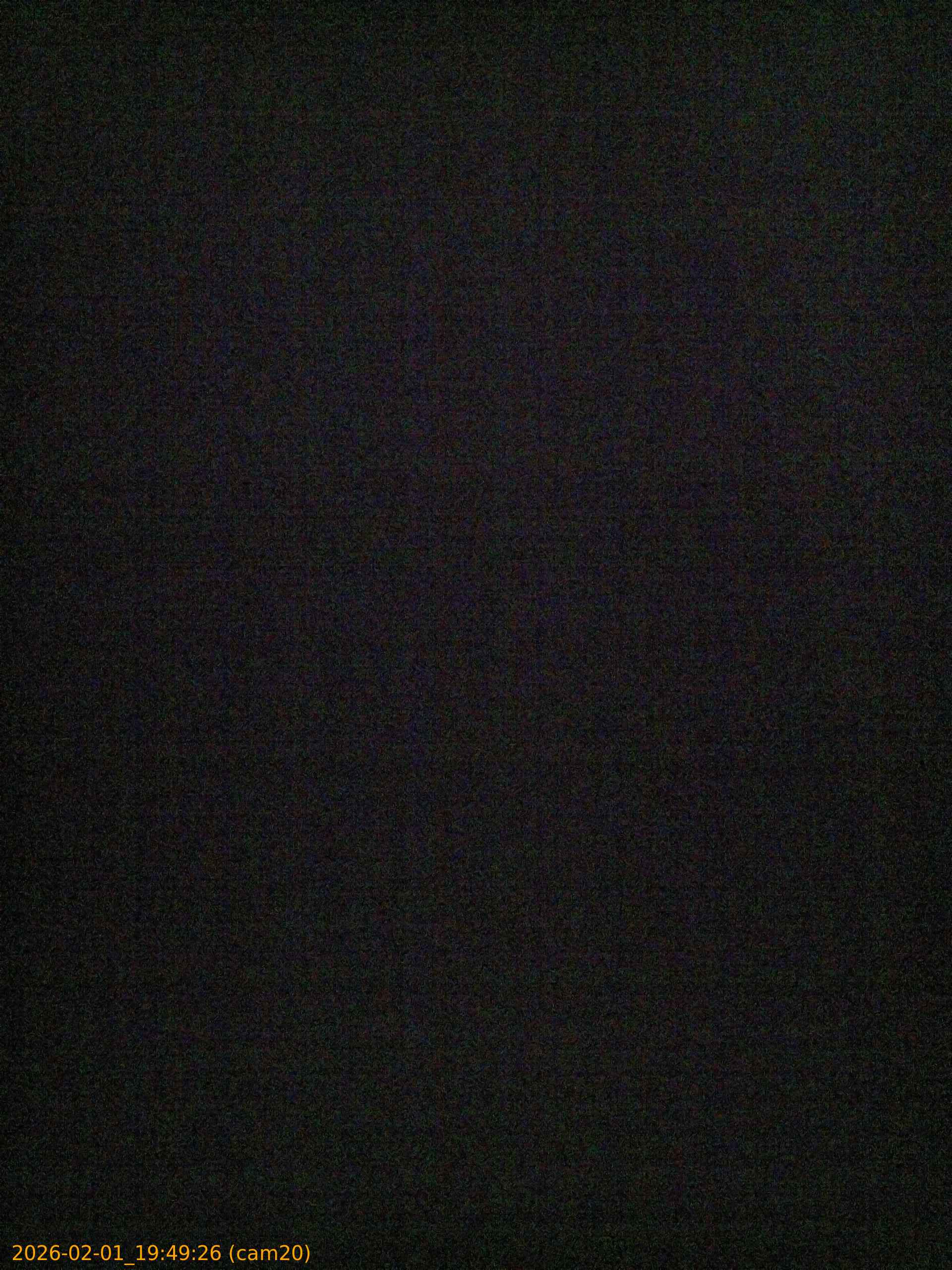 thumbnail_20260201194926