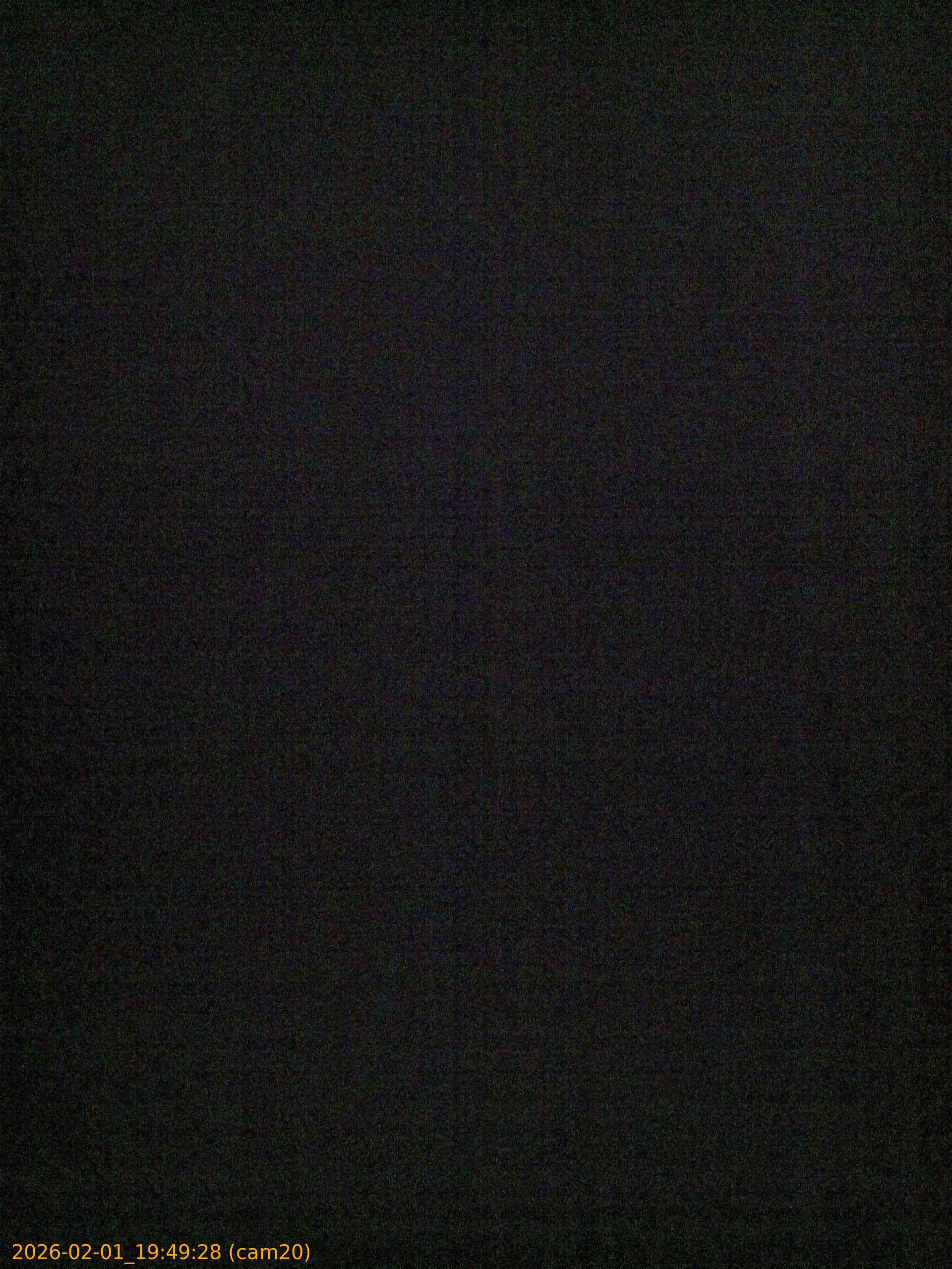 thumbnail_20260201194928