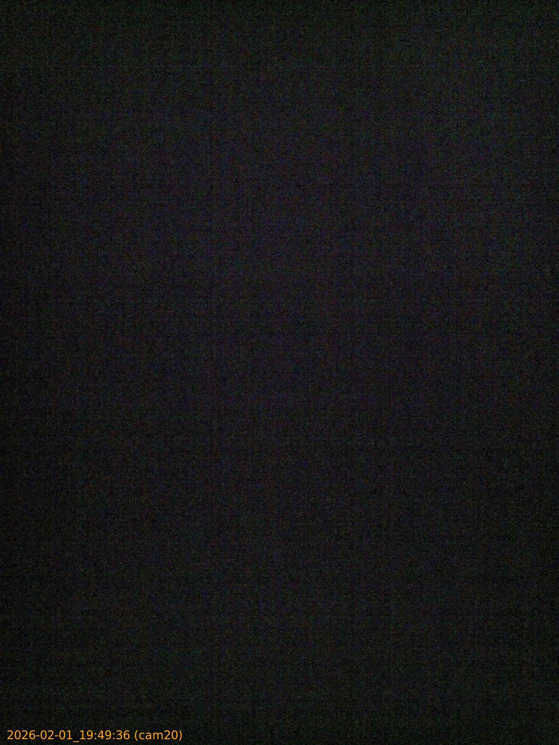 thumbnail_20260201194936