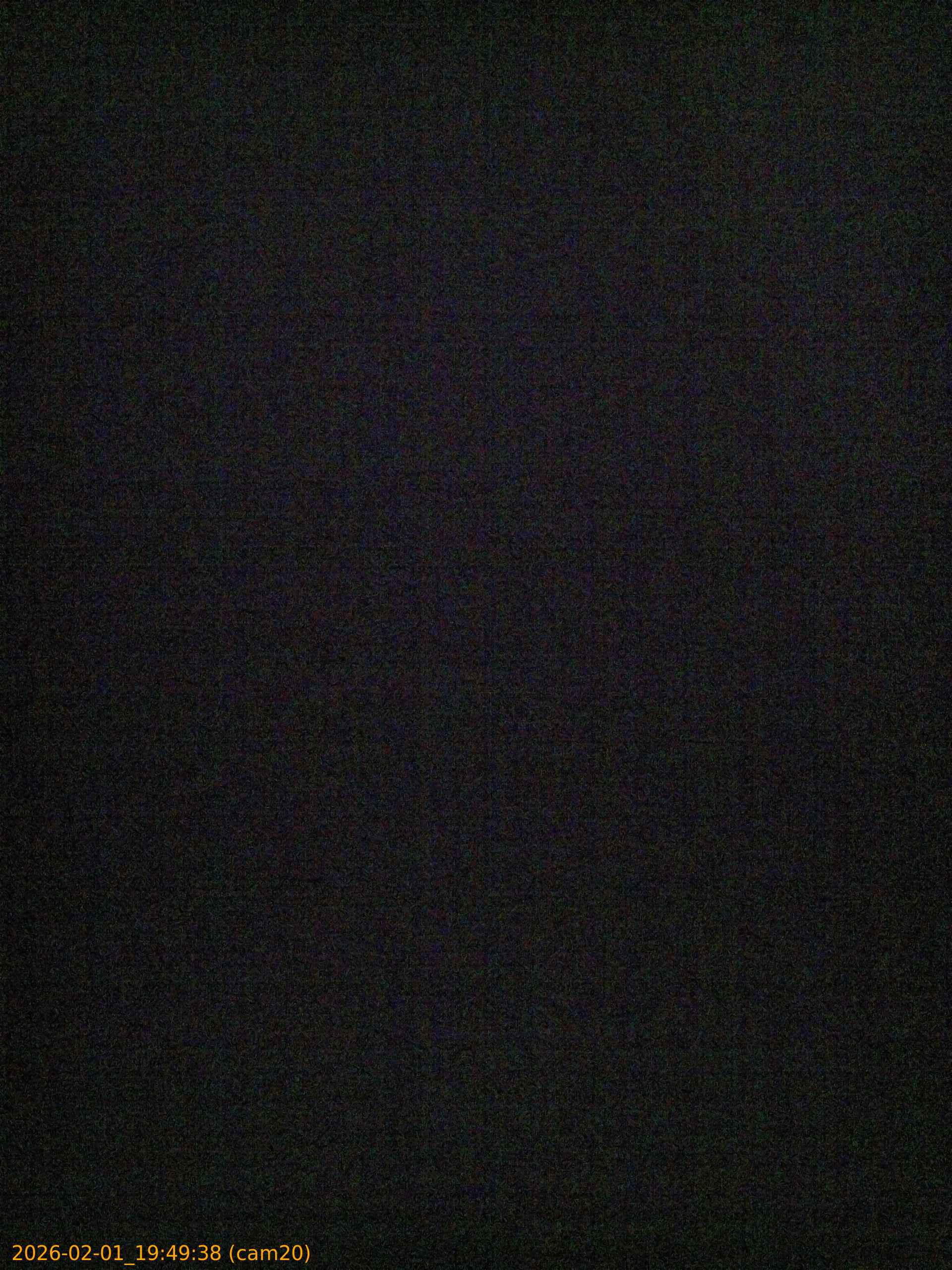 thumbnail_20260201194938