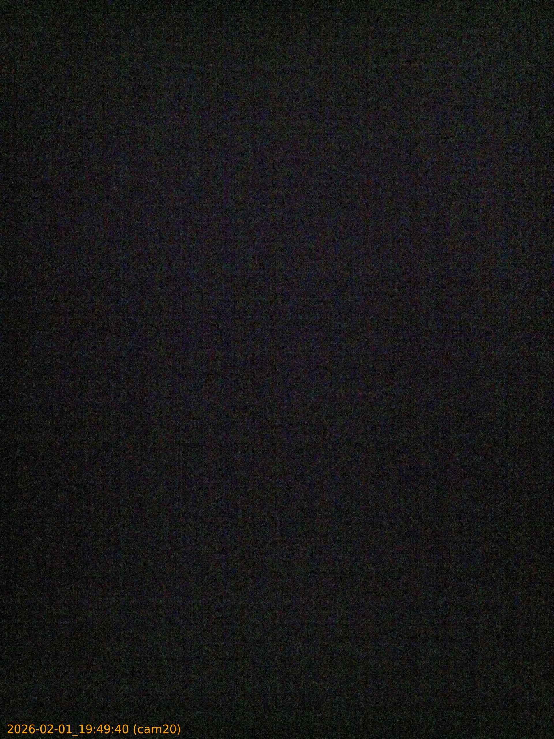 thumbnail_20260201194940