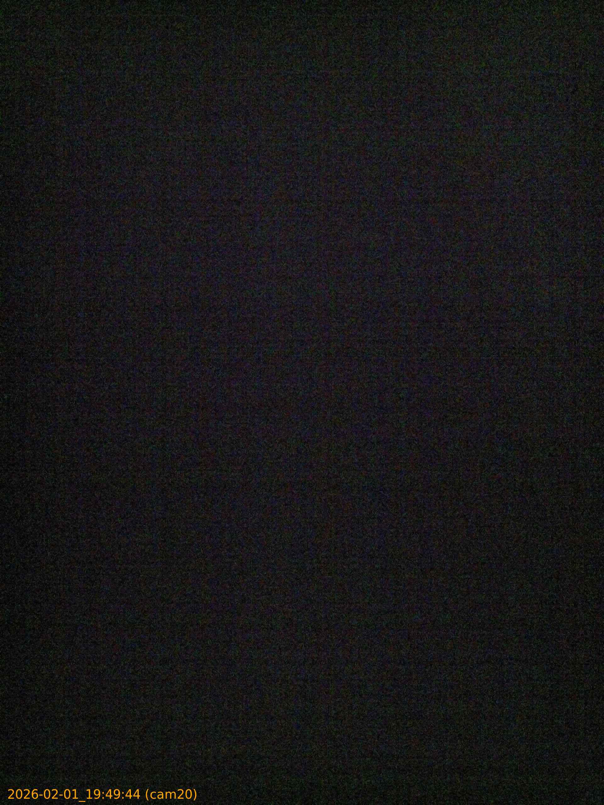 thumbnail_20260201194944