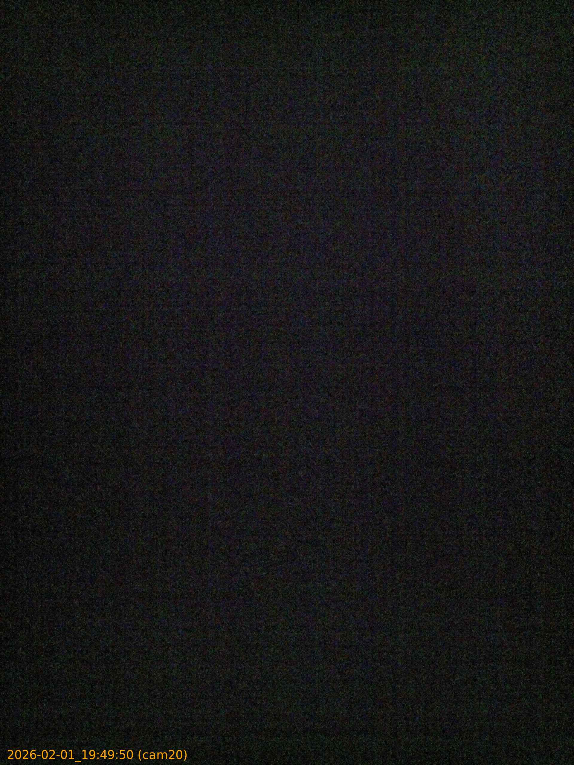 thumbnail_20260201194950