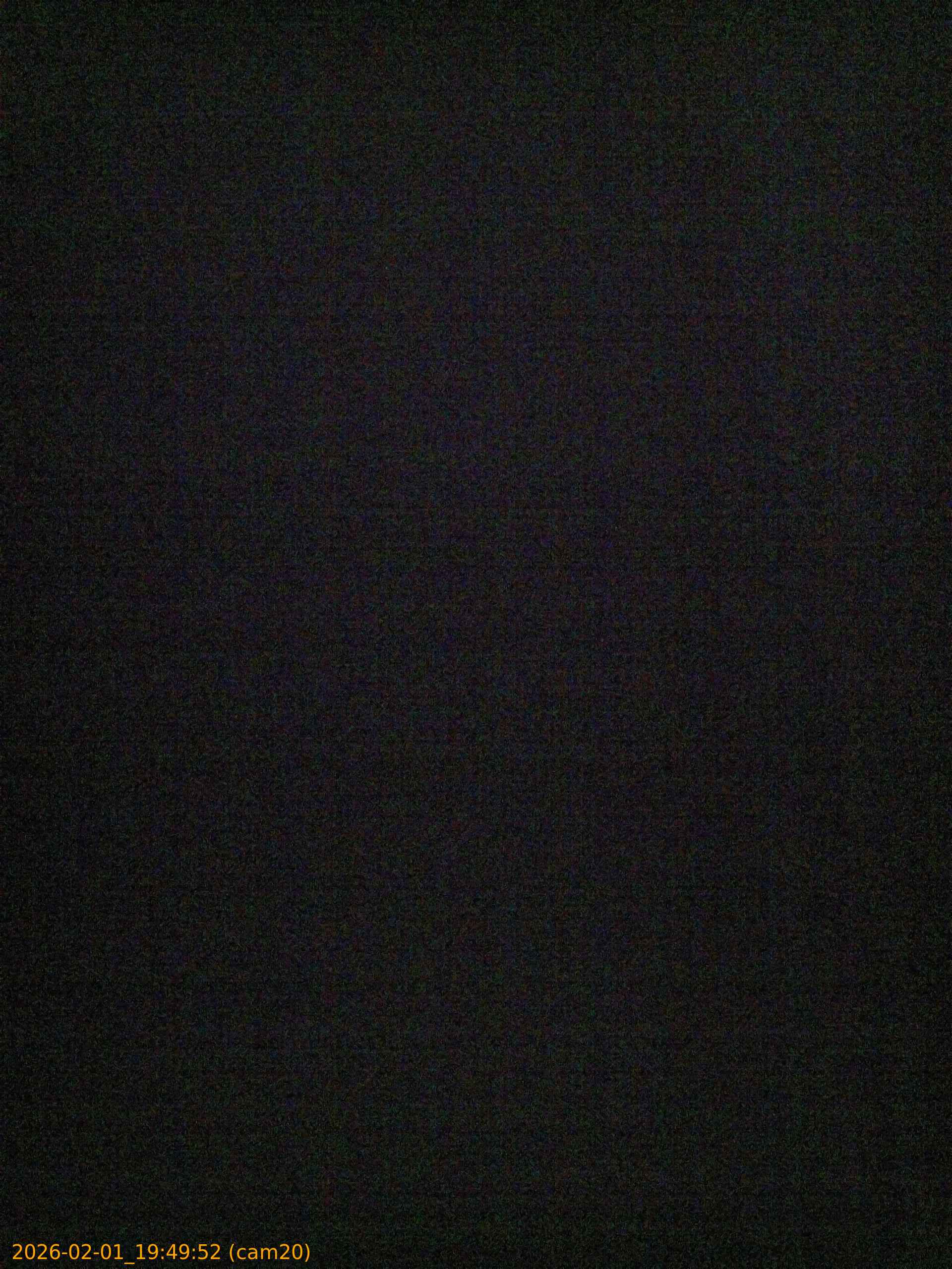 thumbnail_20260201194952