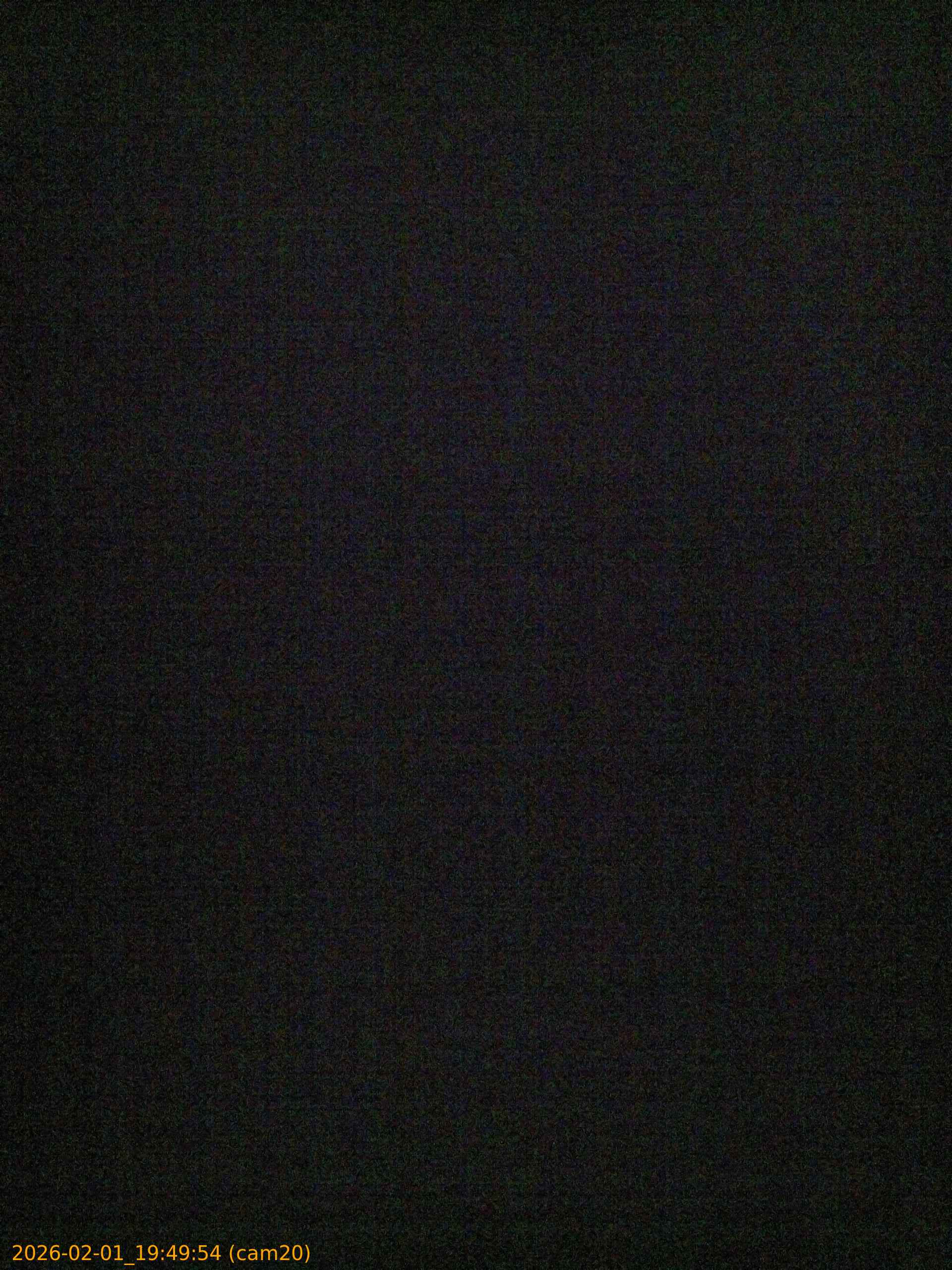 thumbnail_20260201194954