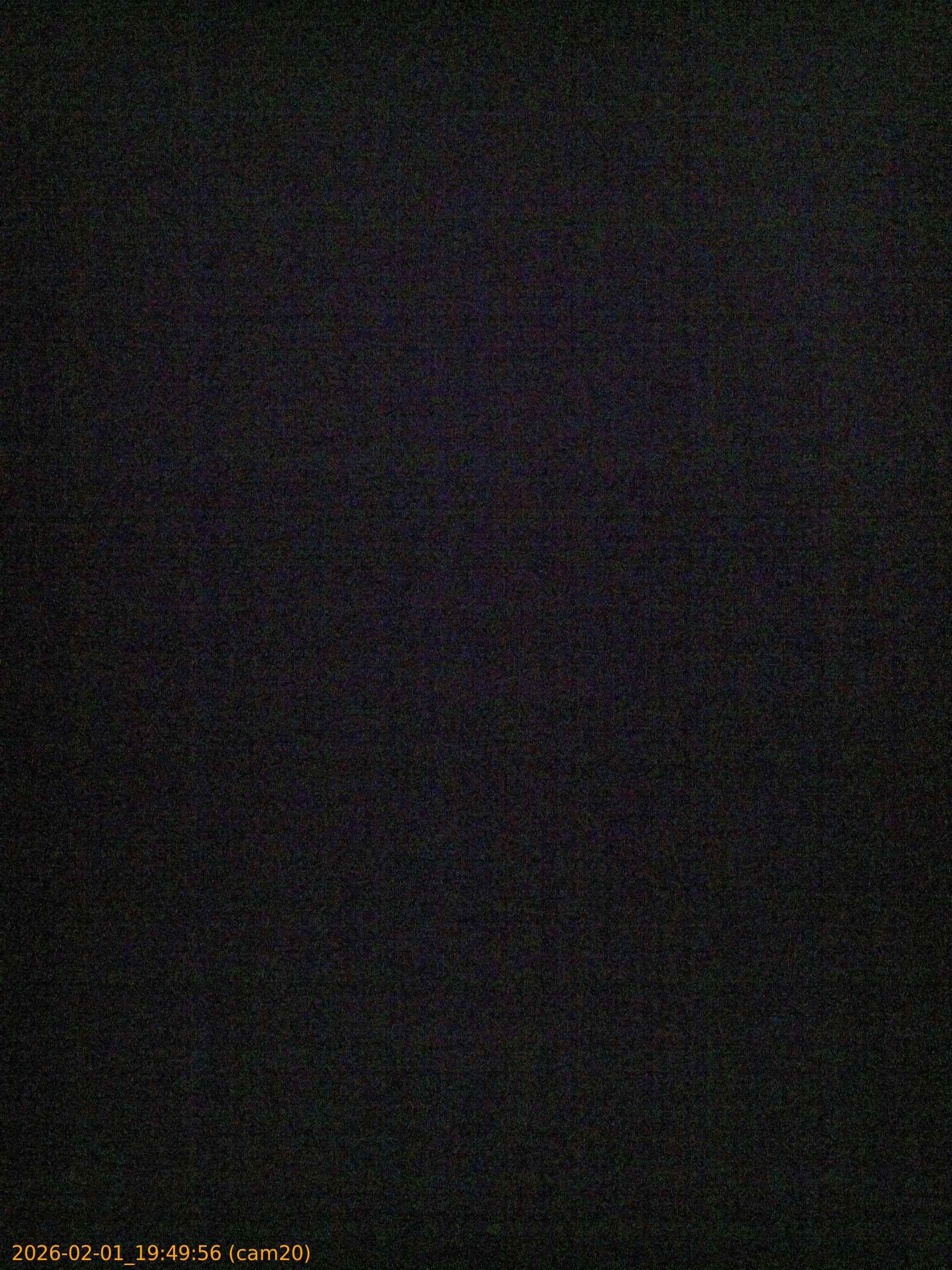 thumbnail_20260201194956