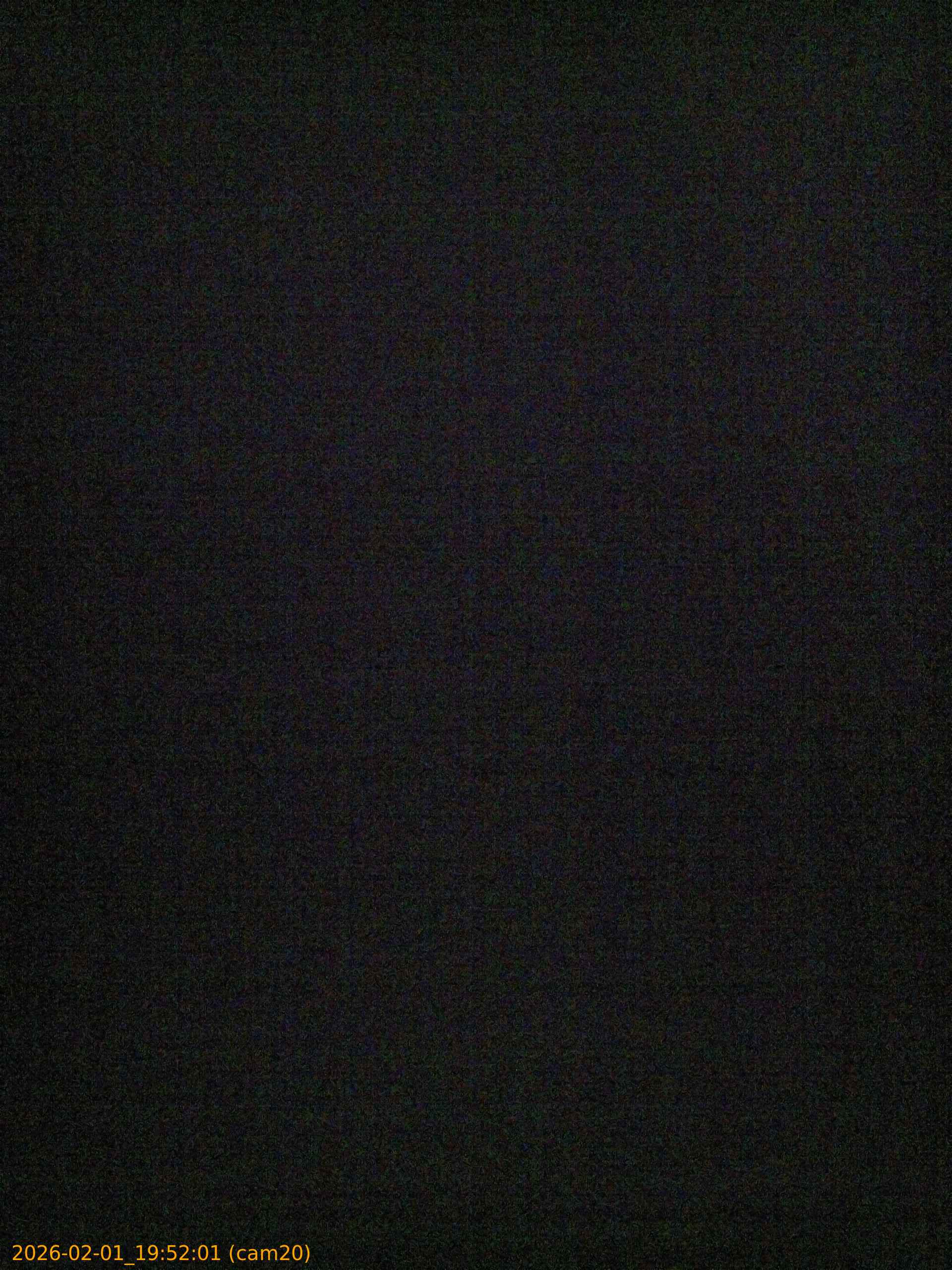 thumbnail_20260201195201