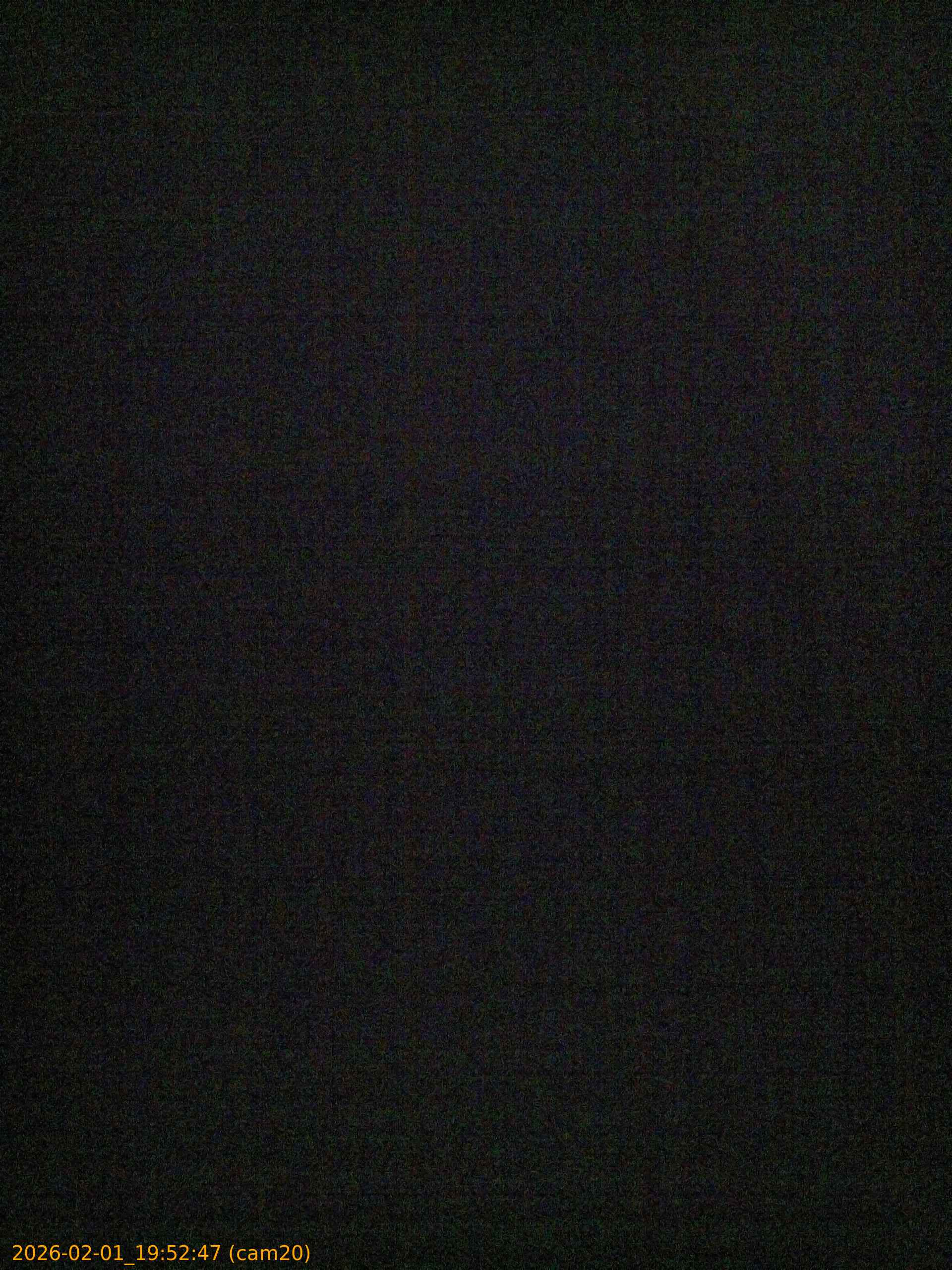 thumbnail_20260201195247