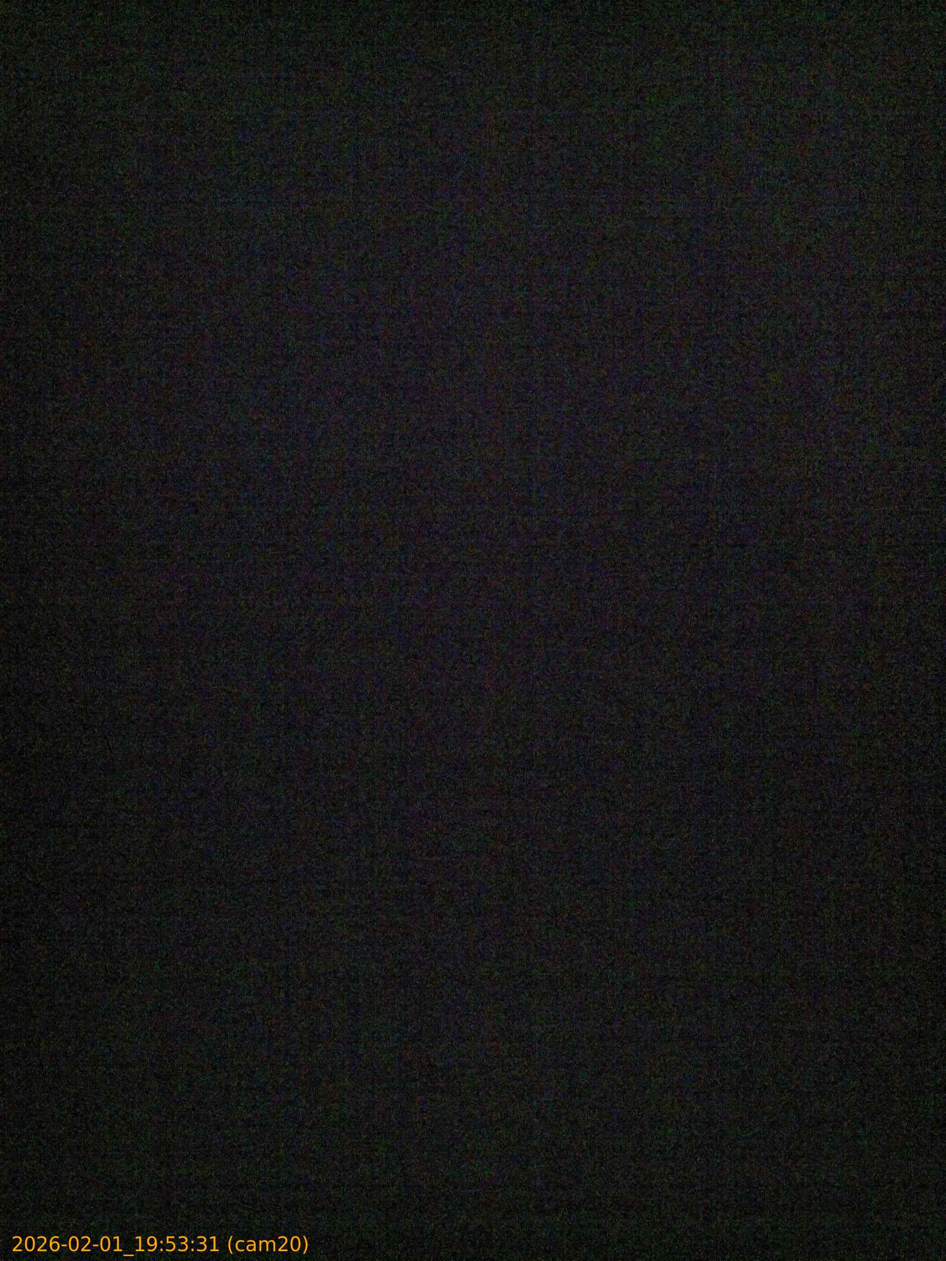 thumbnail_20260201195331