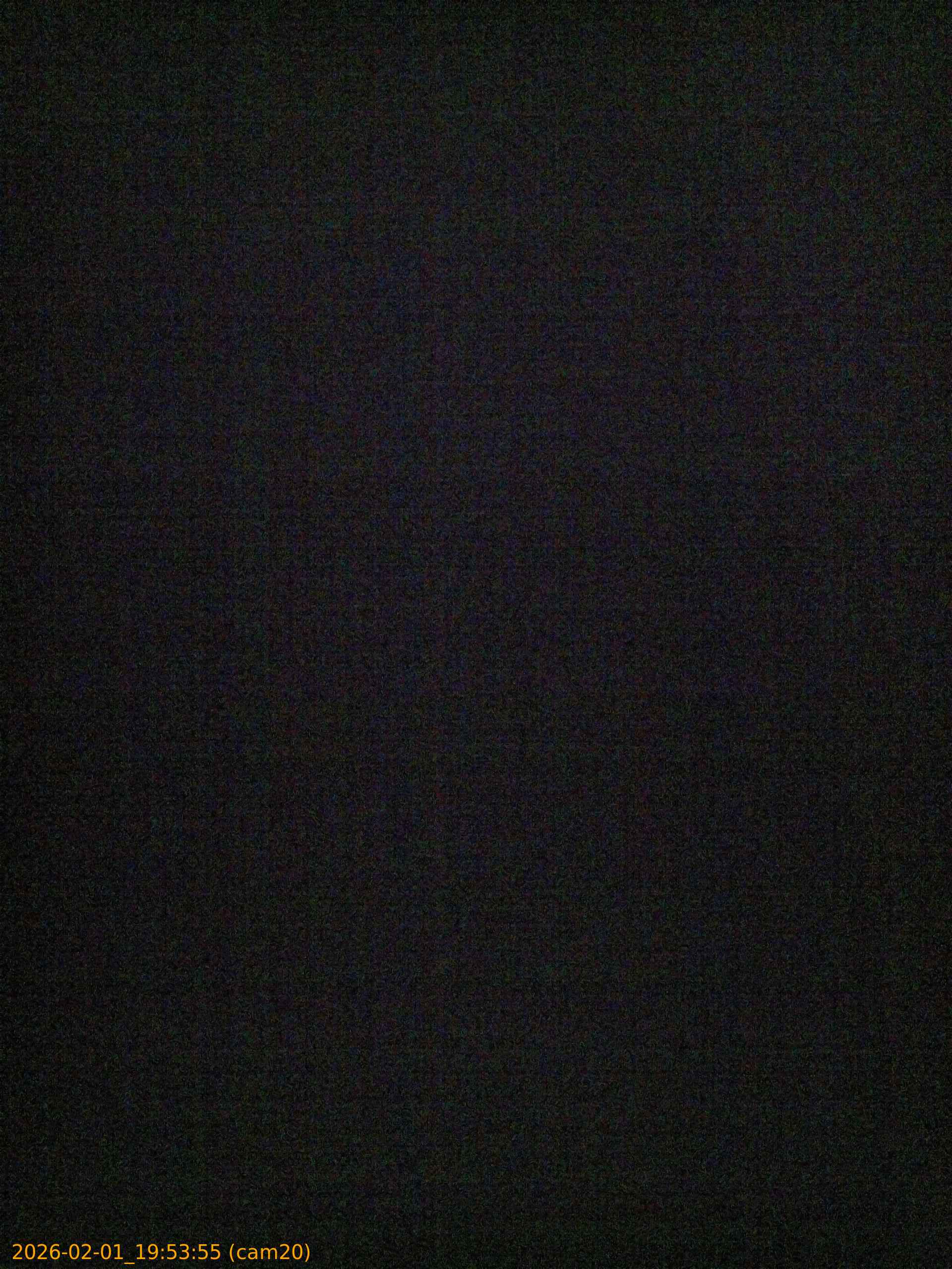 thumbnail_20260201195355