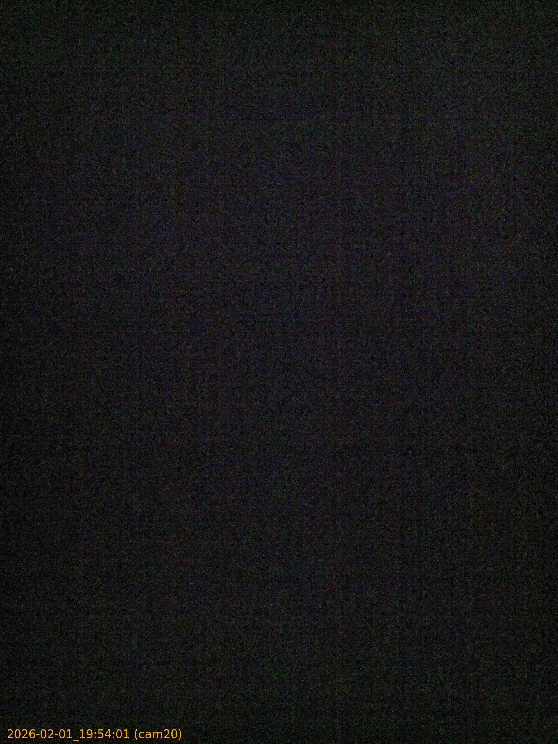 thumbnail_20260201195401