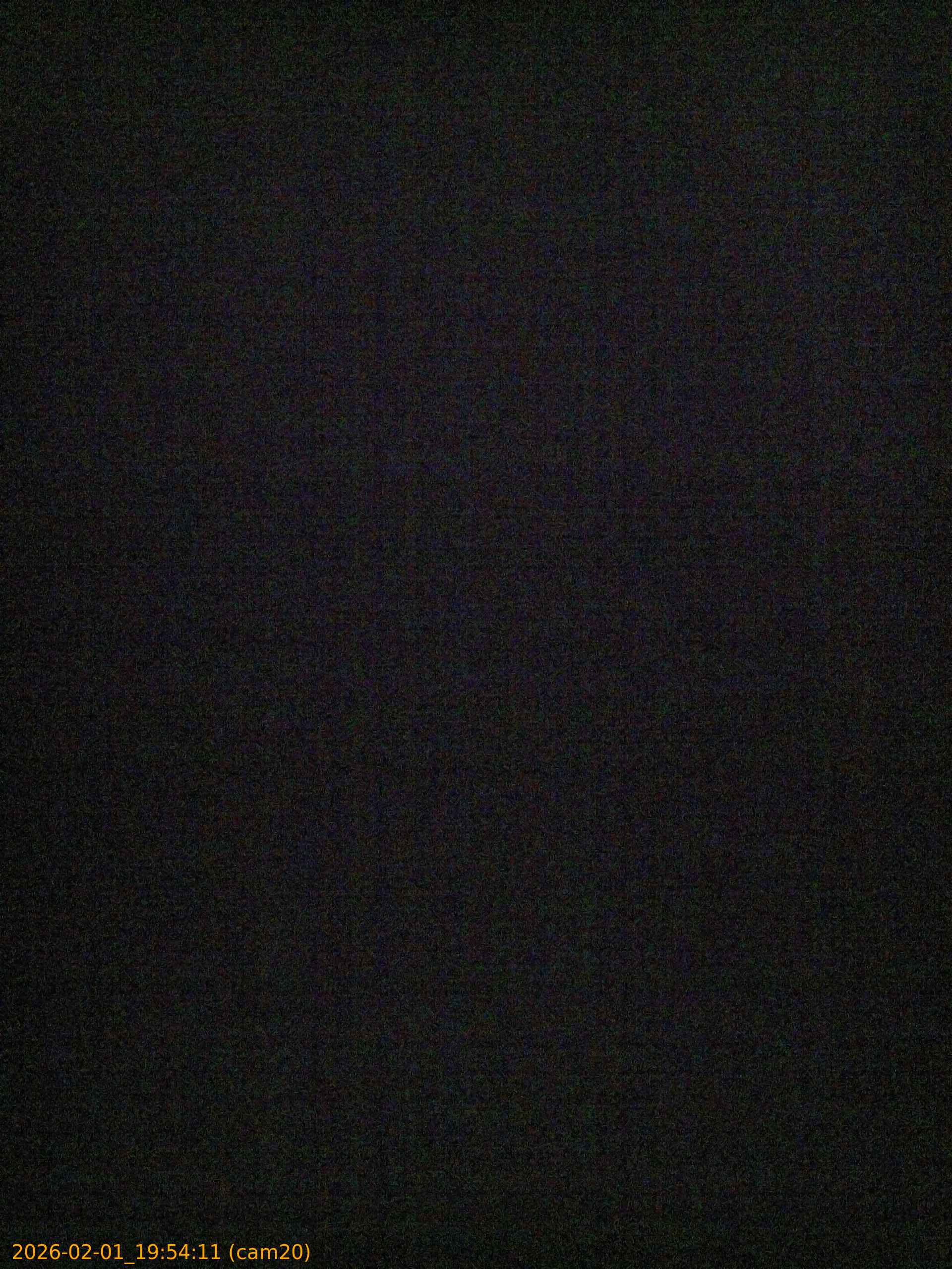 thumbnail_20260201195411