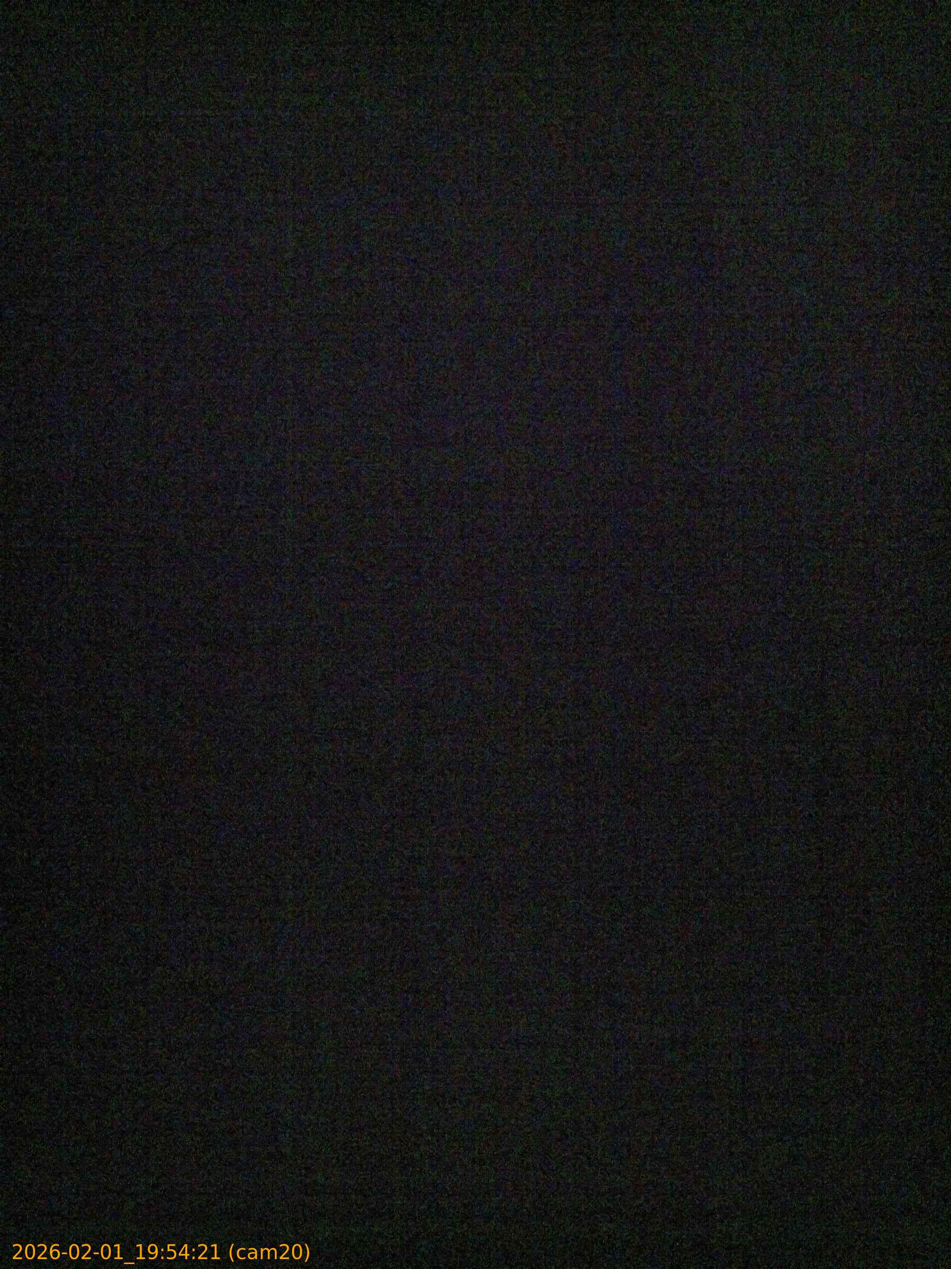 thumbnail_20260201195421