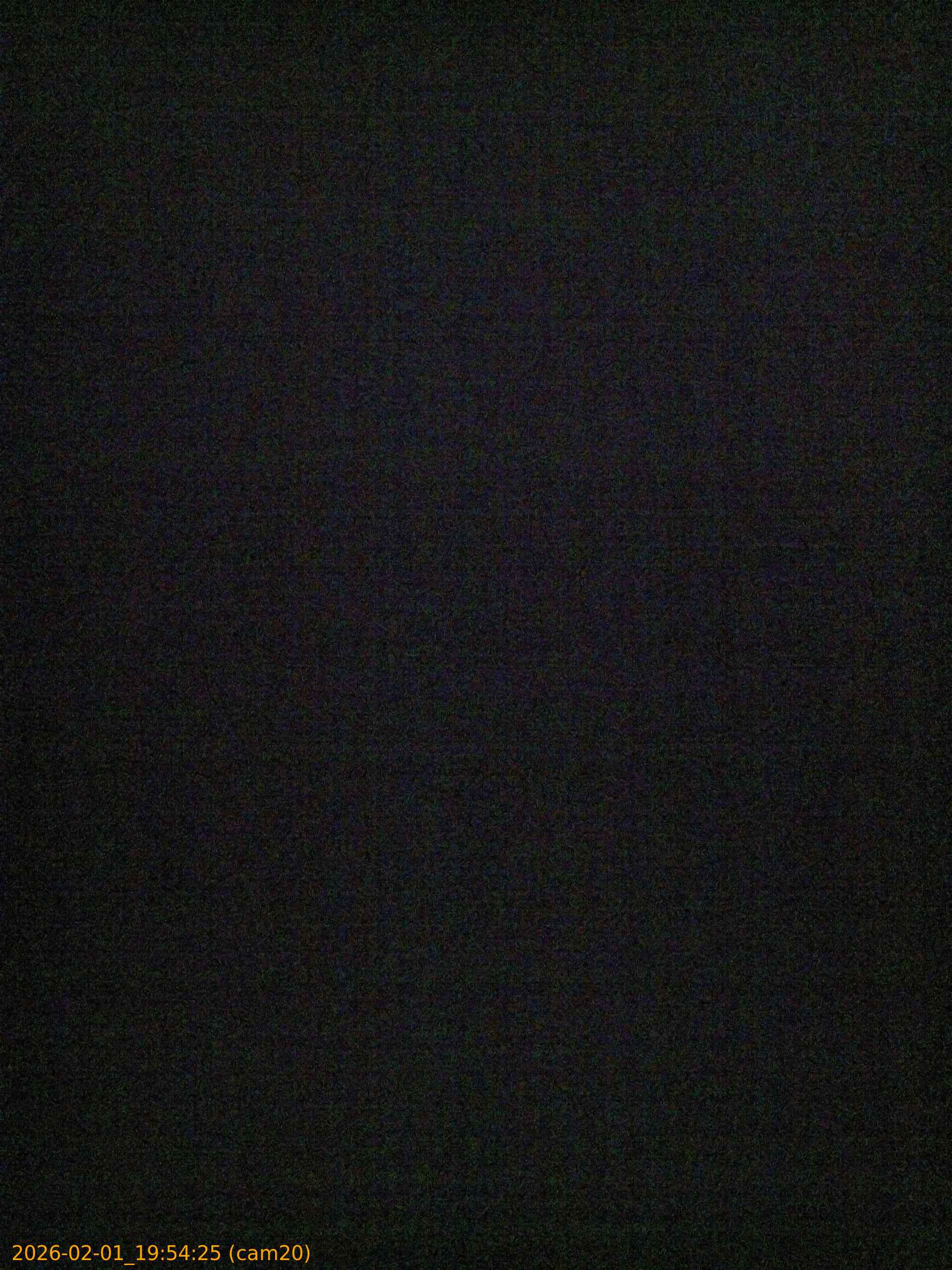 thumbnail_20260201195425