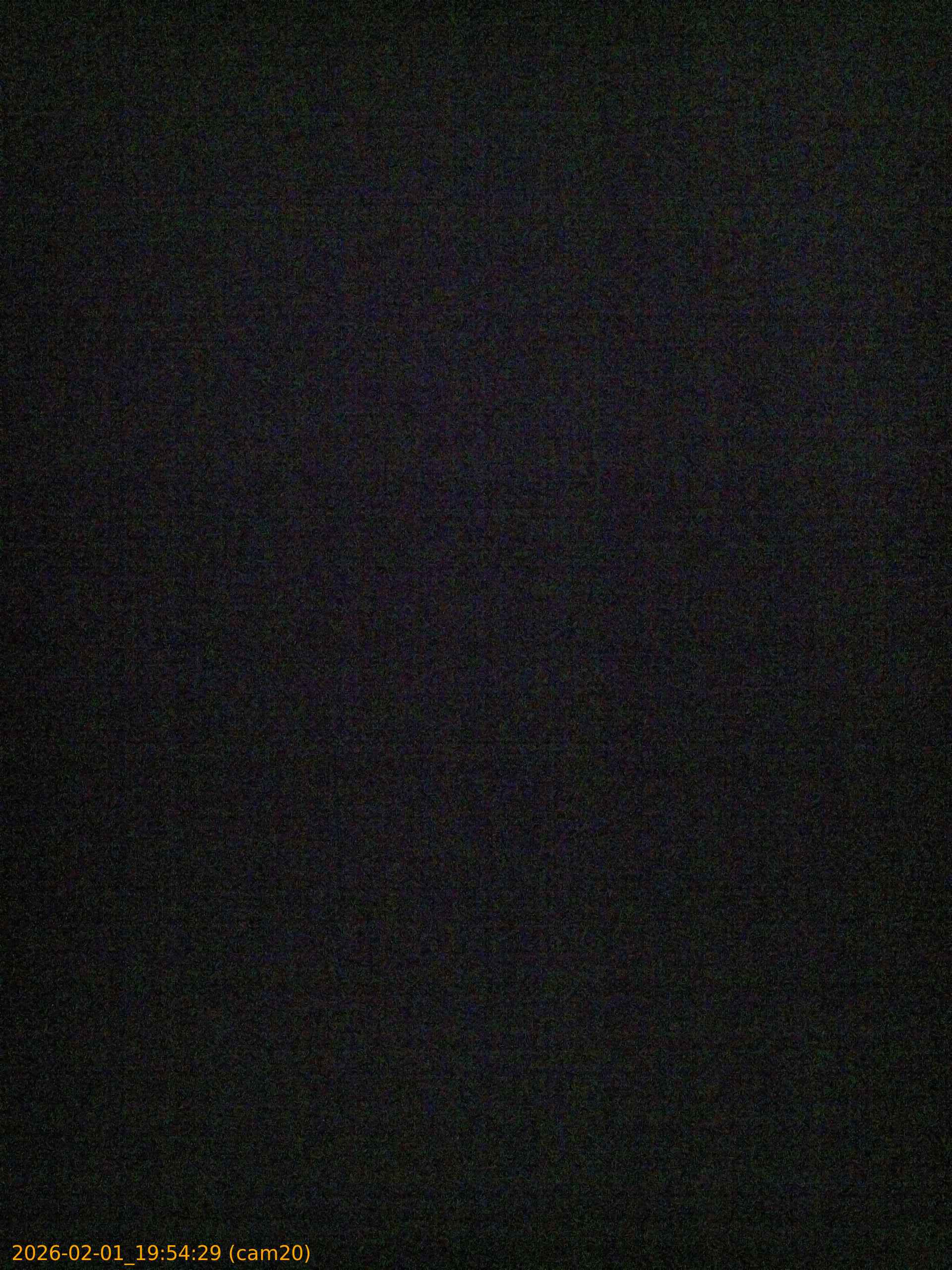 thumbnail_20260201195429