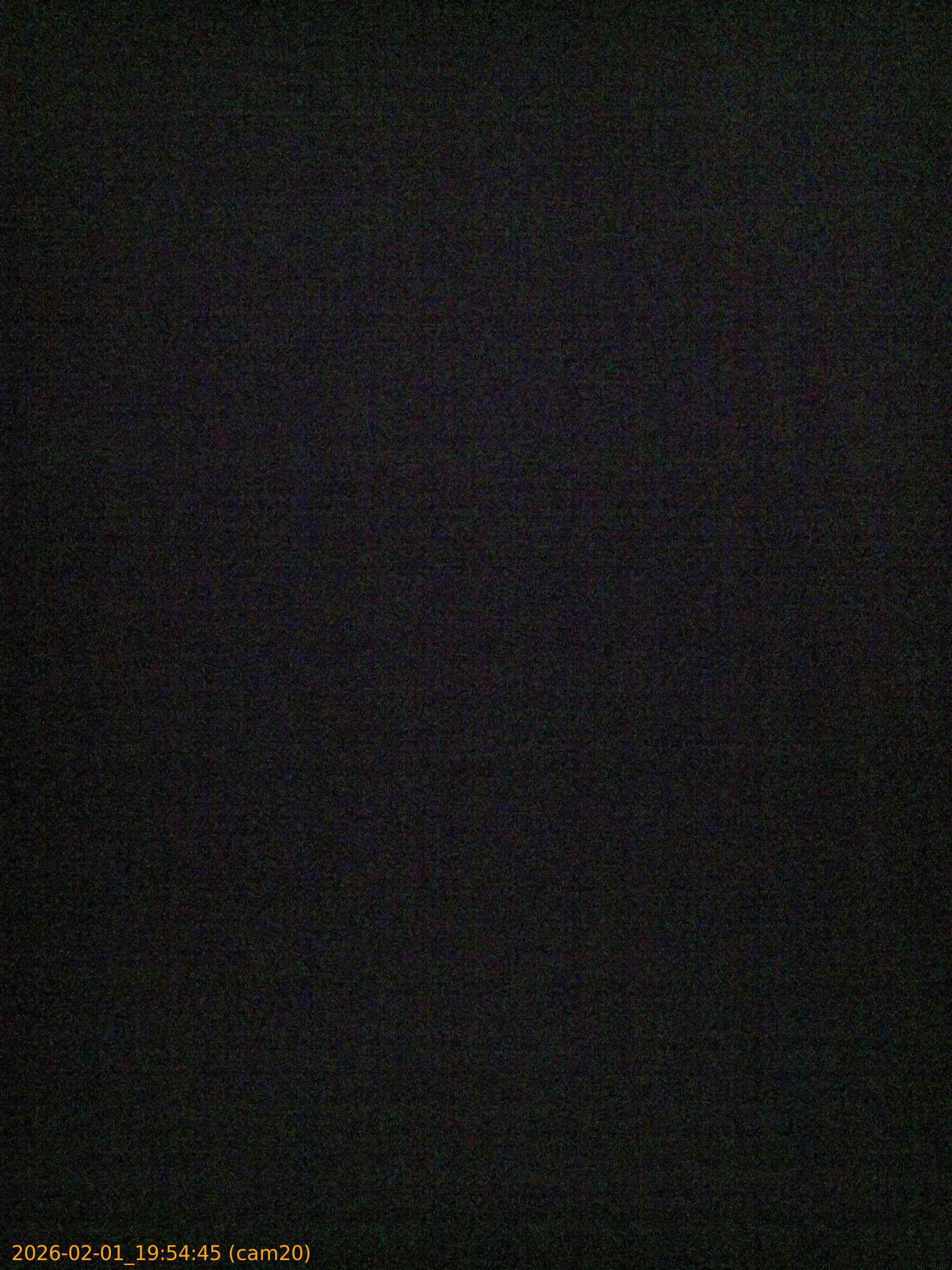 thumbnail_20260201195445