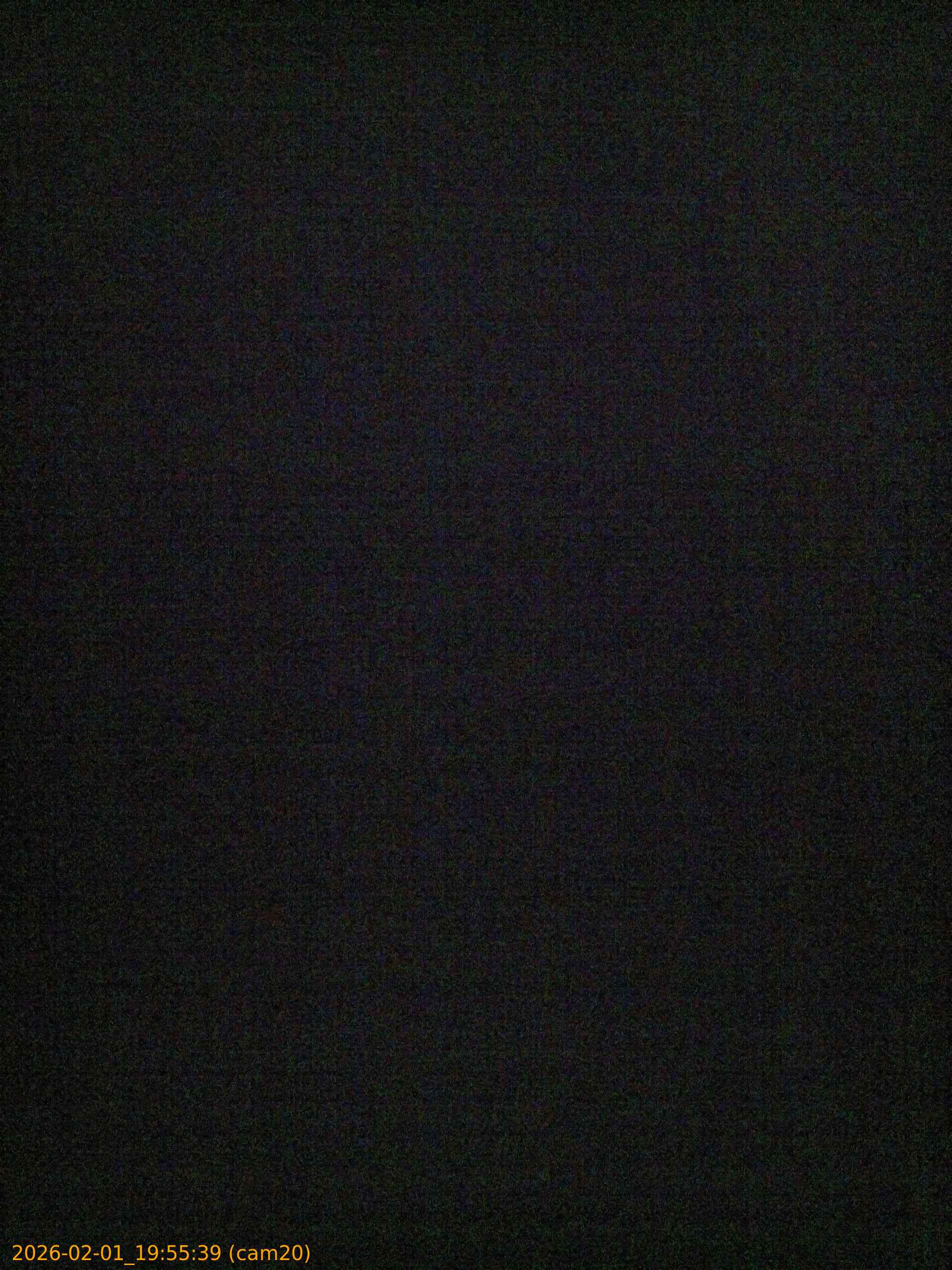 20260201195539
