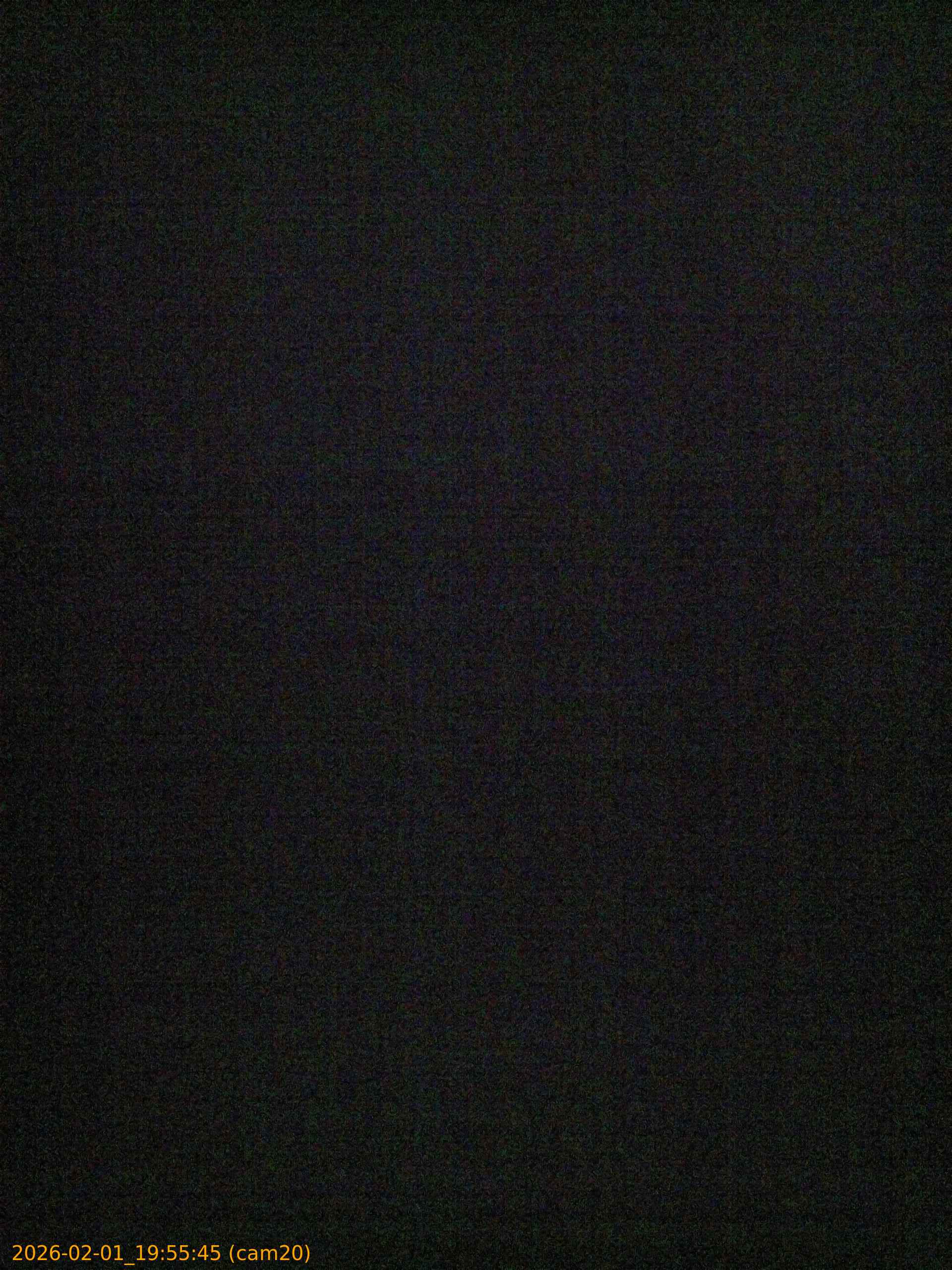 20260201195545