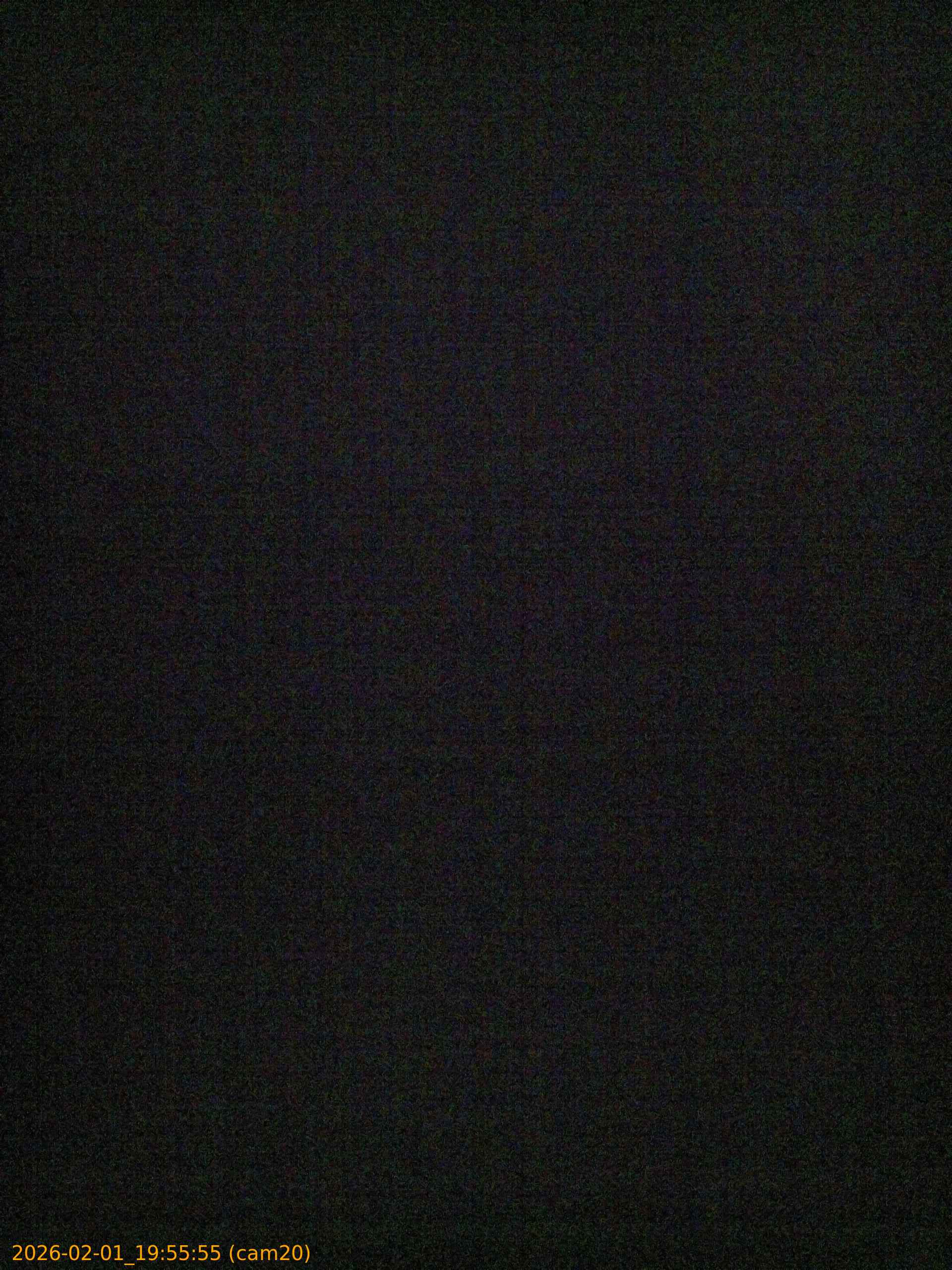 20260201195555