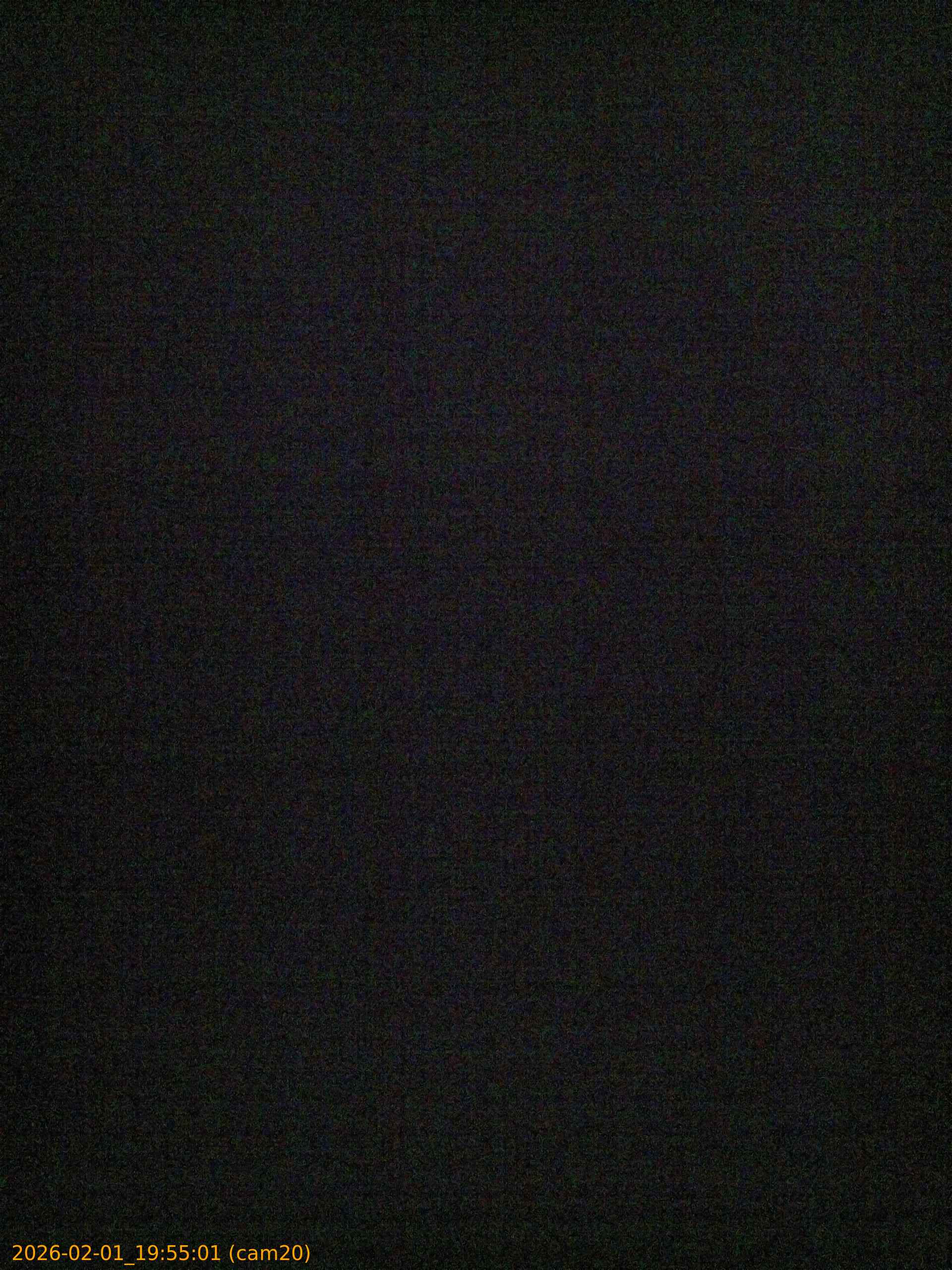 thumbnail_20260201195501