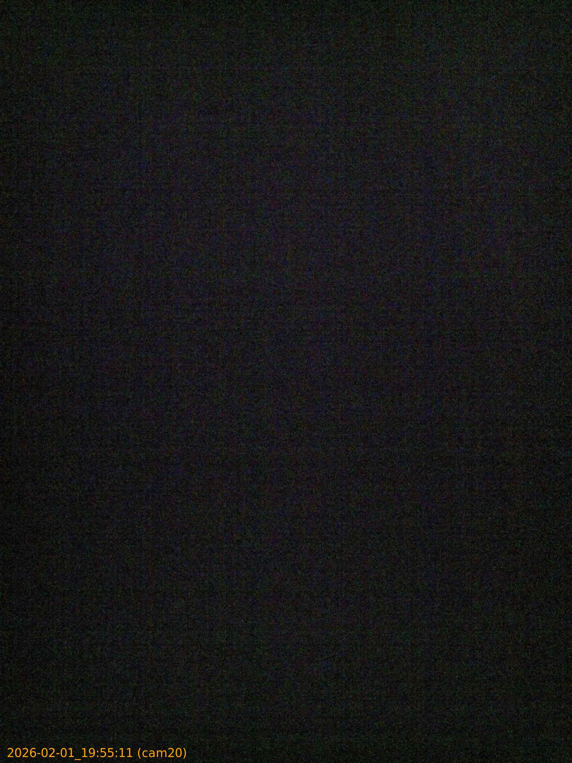 thumbnail_20260201195511