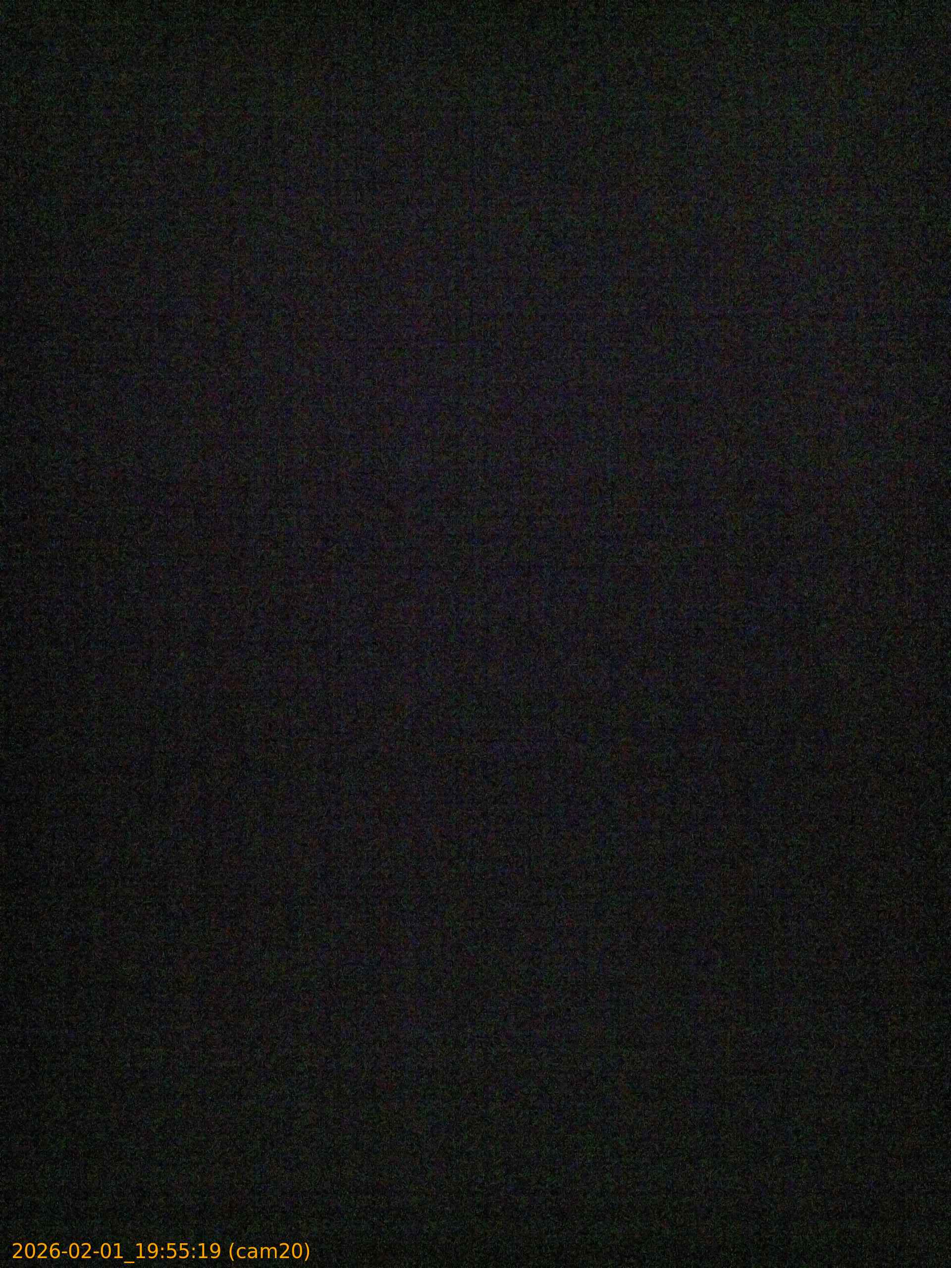 thumbnail_20260201195519