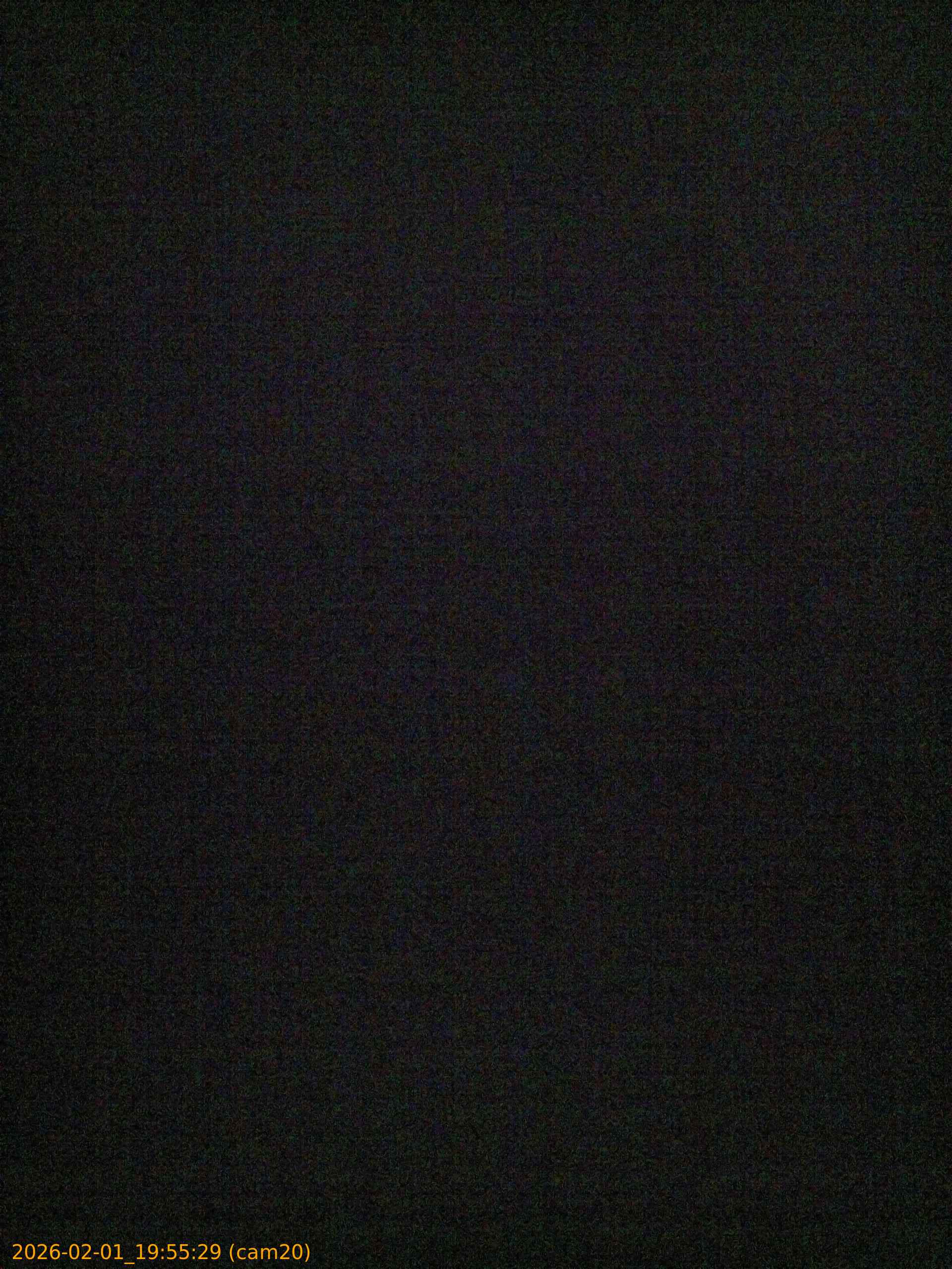 thumbnail_20260201195529