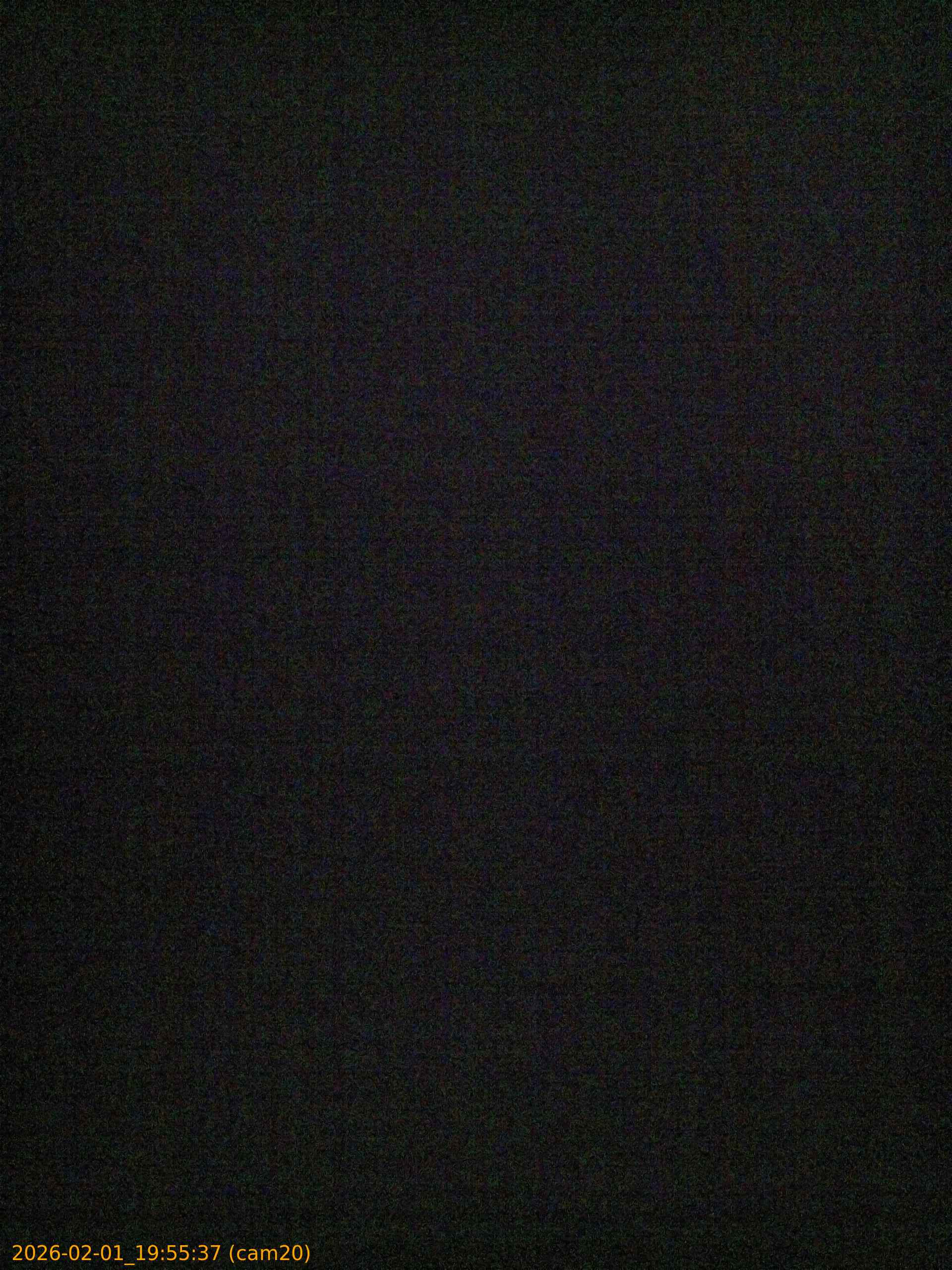 thumbnail_20260201195537