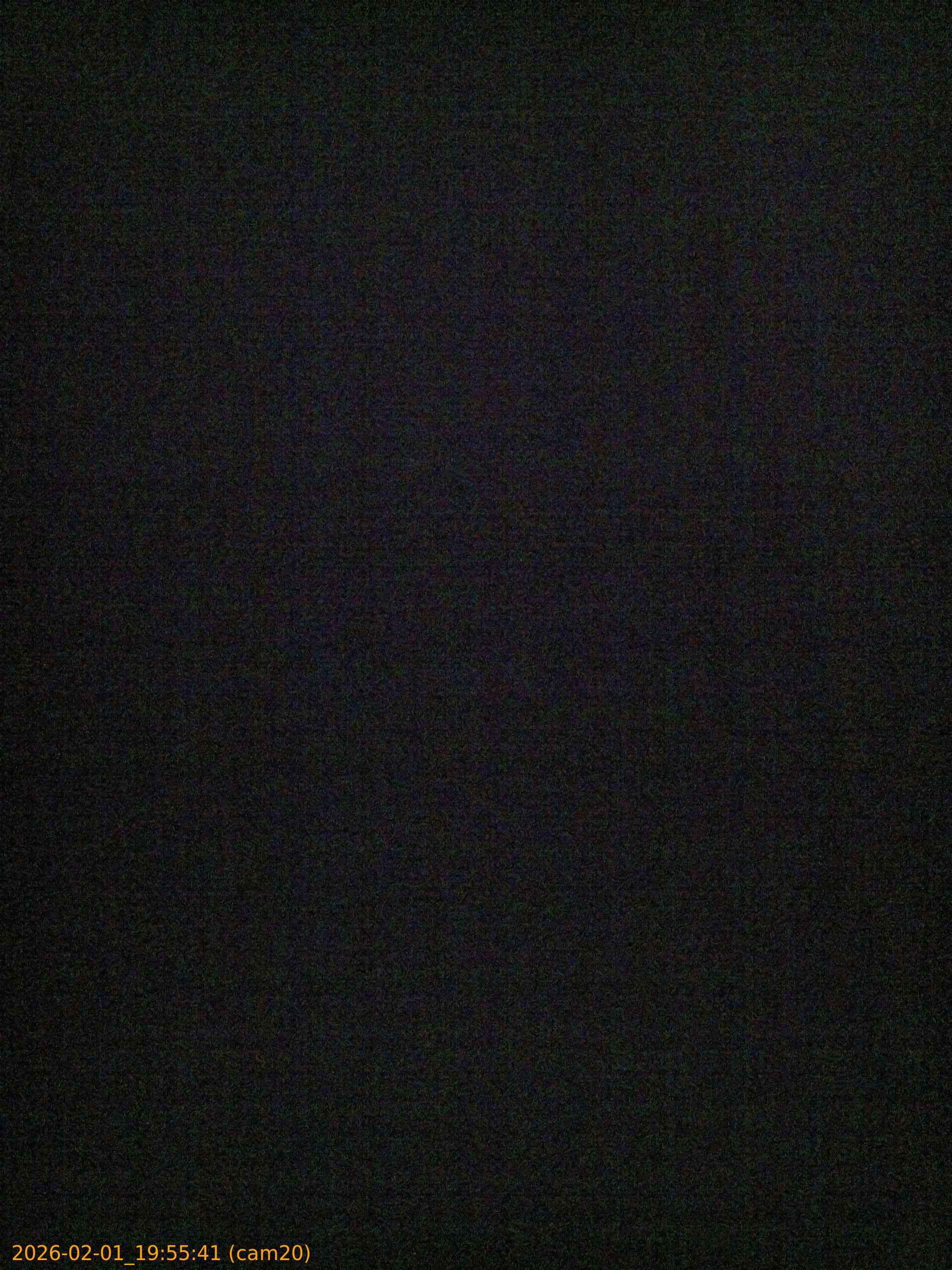 thumbnail_20260201195541