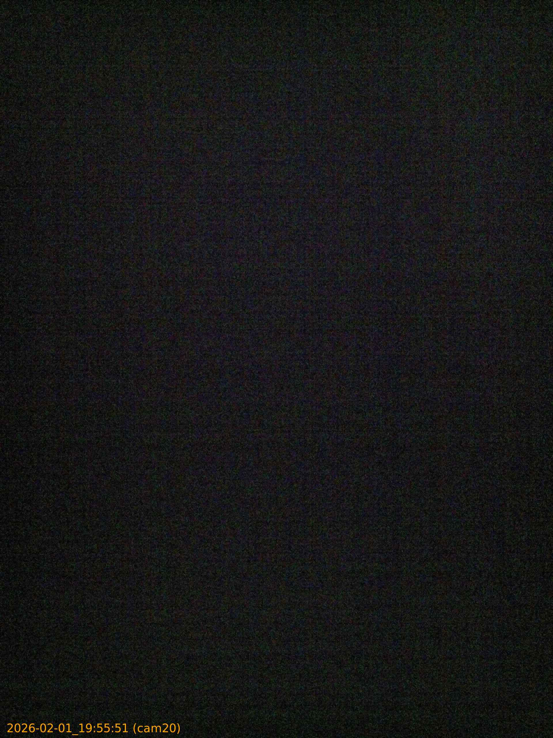 thumbnail_20260201195551