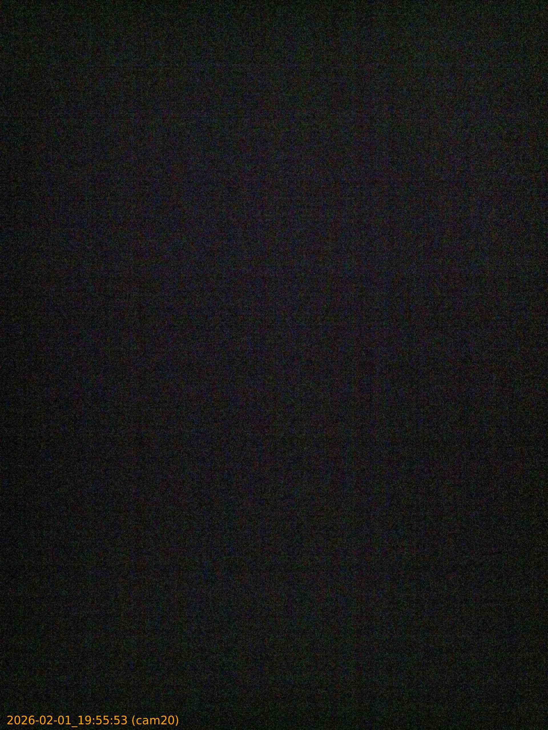 thumbnail_20260201195553