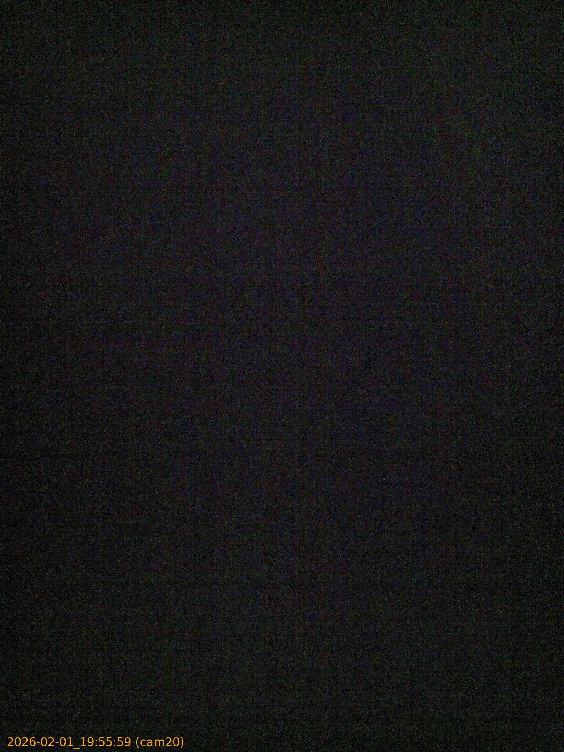 thumbnail_20260201195559