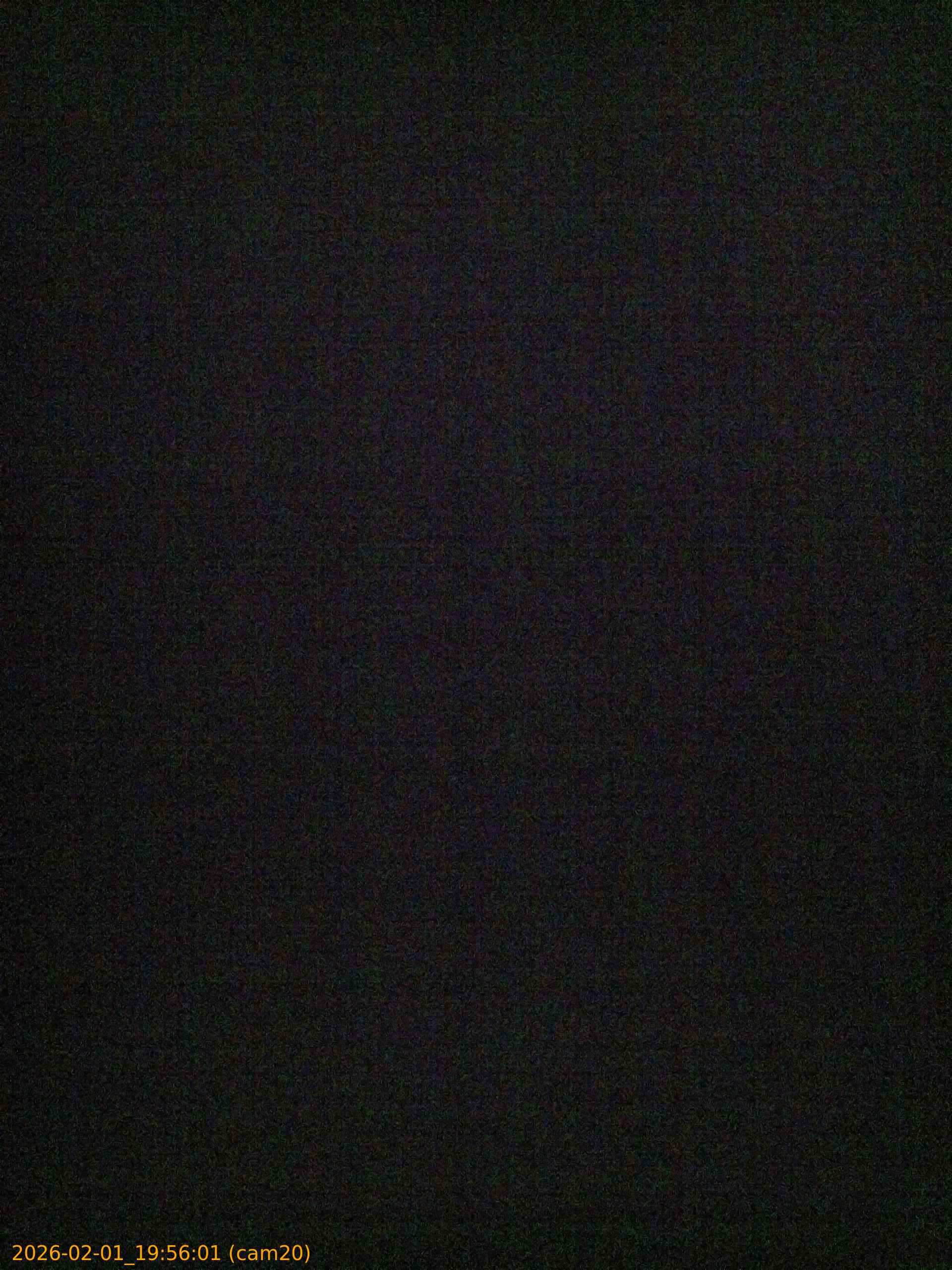 thumbnail_20260201195601