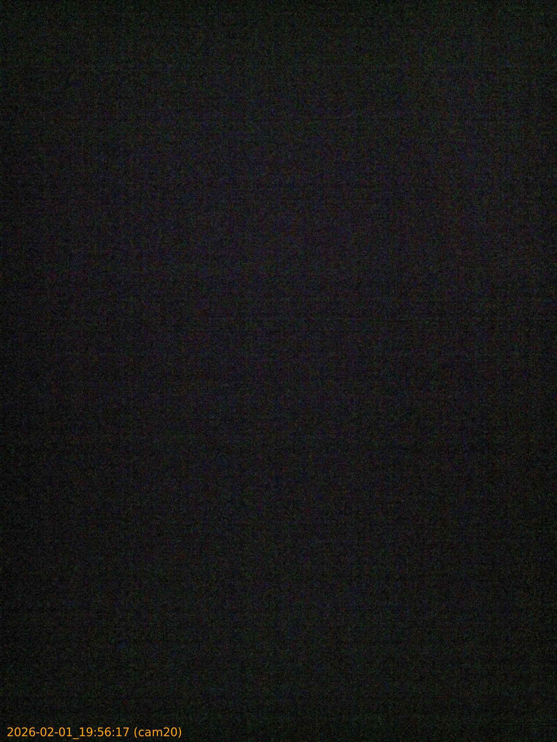 thumbnail_20260201195617